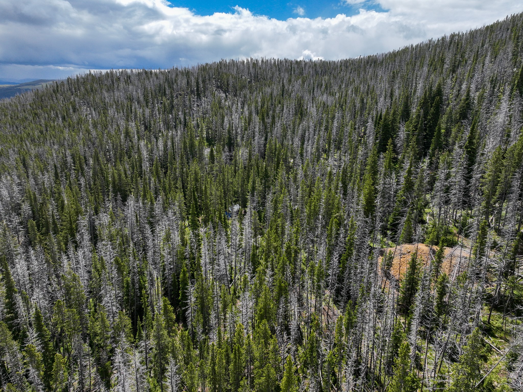 Nhn Cataract Creek Road Property Photo 39