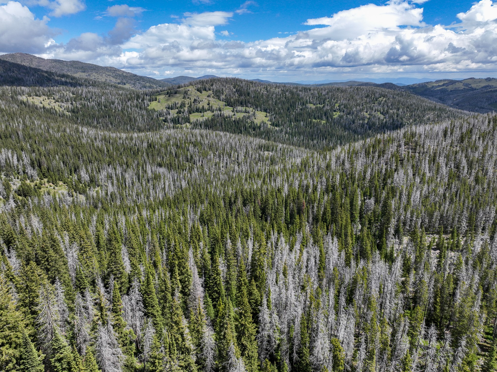 Nhn Cataract Creek Road Property Photo 40