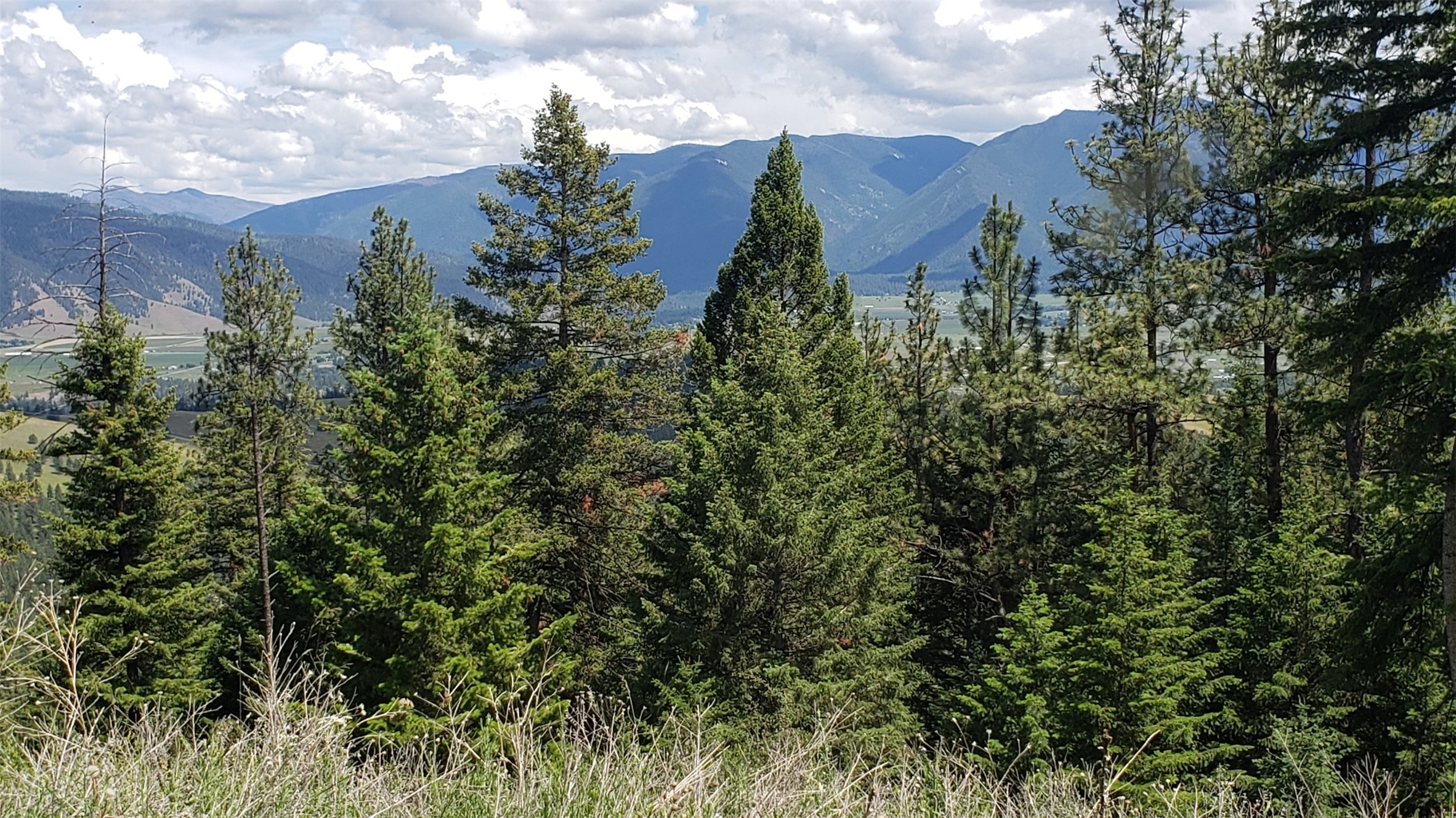 Lot 20 Arlee Pines Property Photo