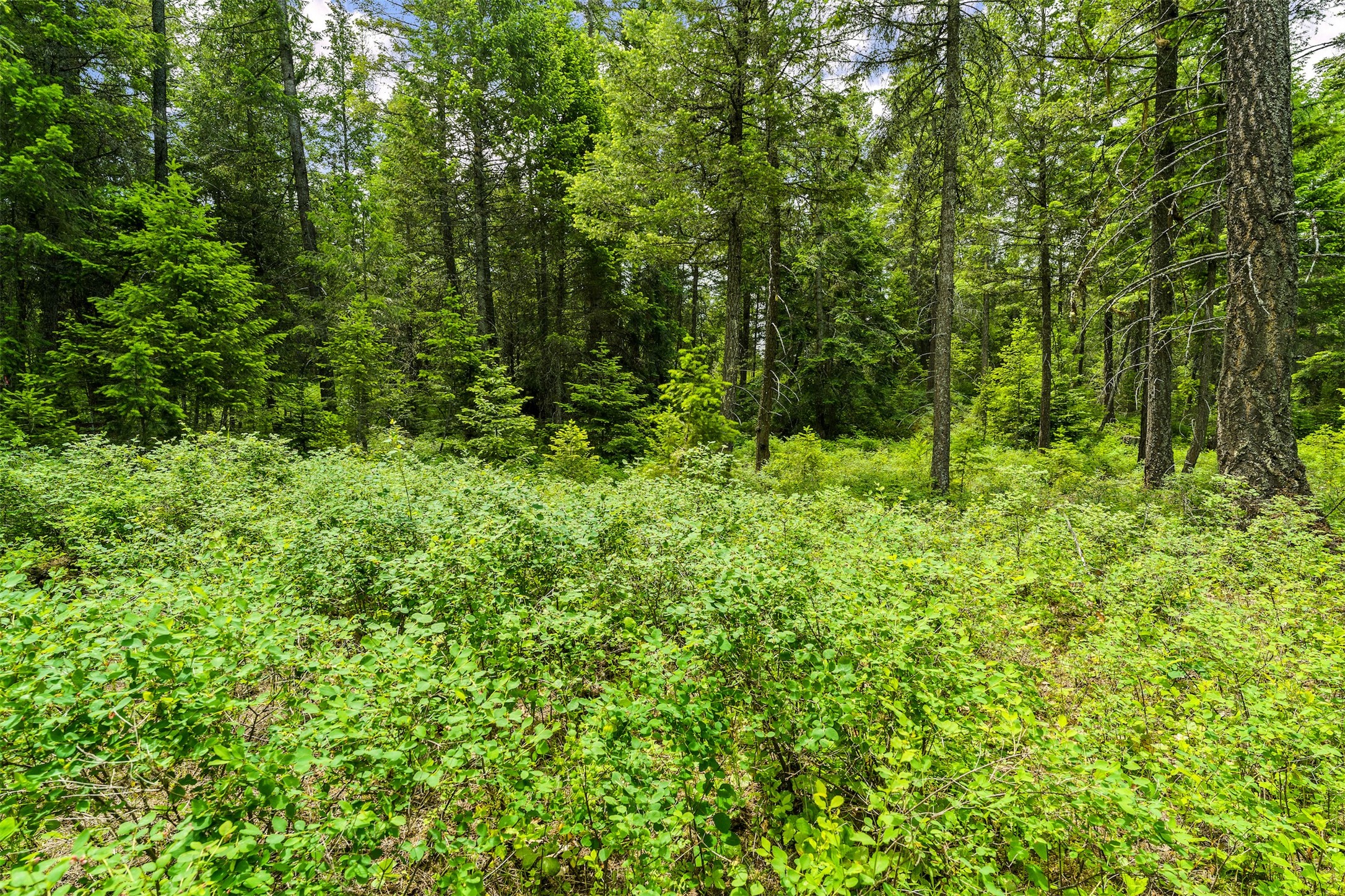 5075 Mt Highway 35 Property Photo 43