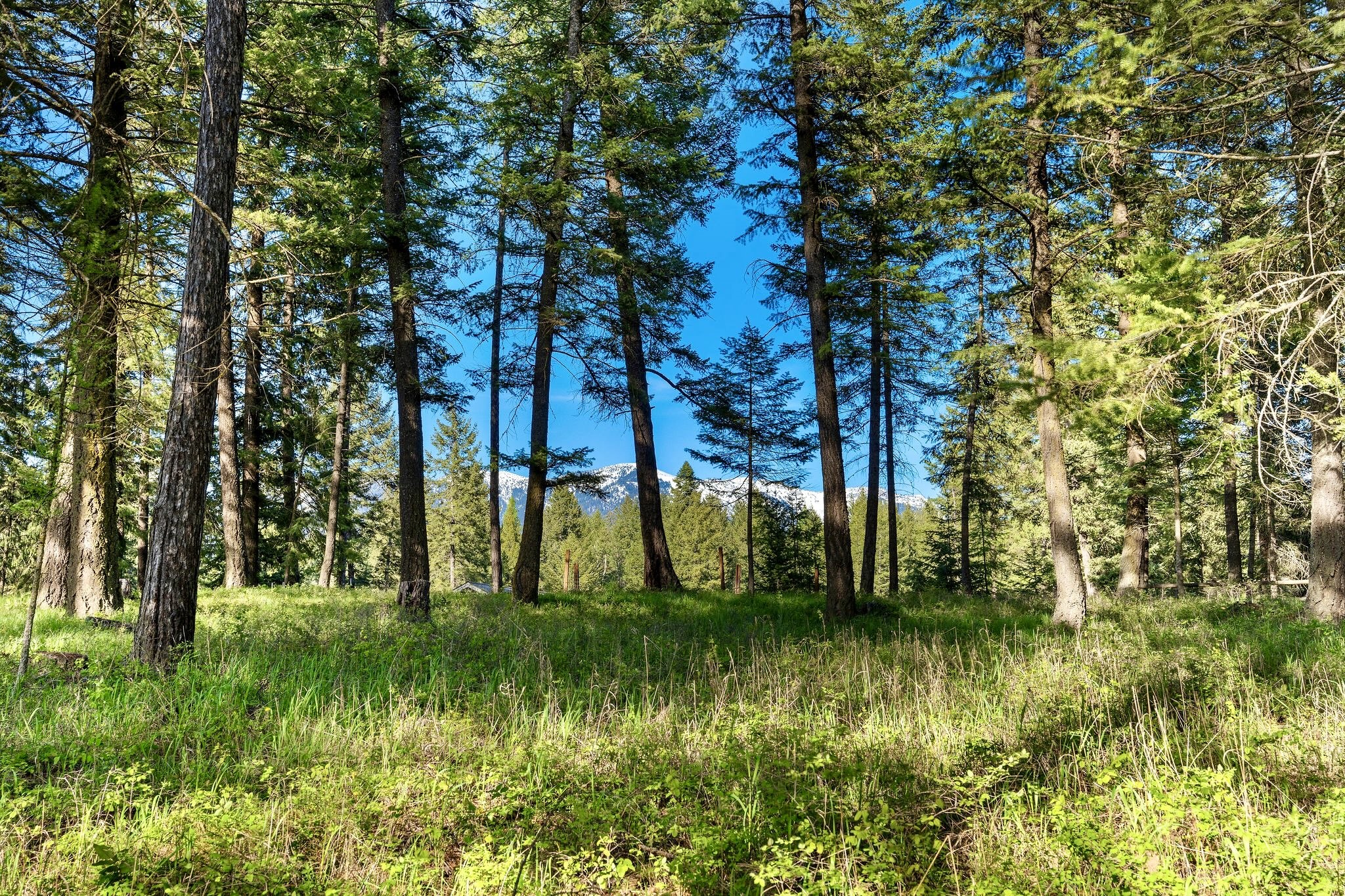 5075 Mt Highway 35 Property Photo 46