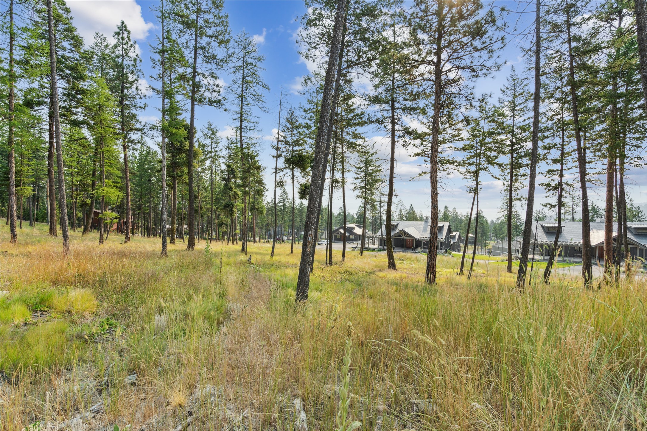 147 Blacktail Loop Property Photo 6