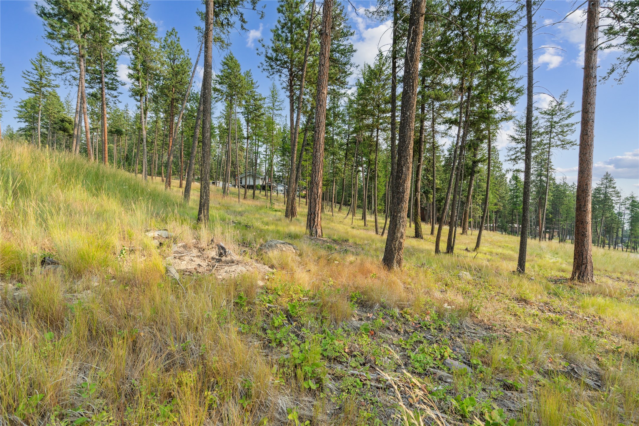 147 Blacktail Loop Property Photo 8