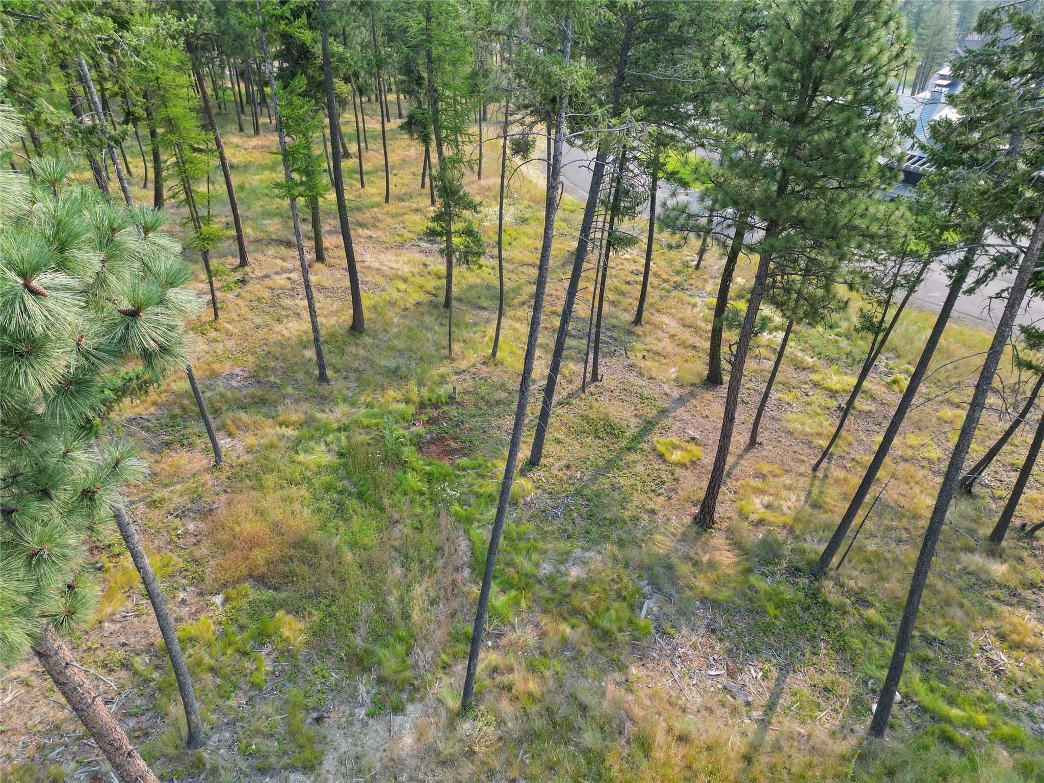 147 Blacktail Loop Property Photo 10