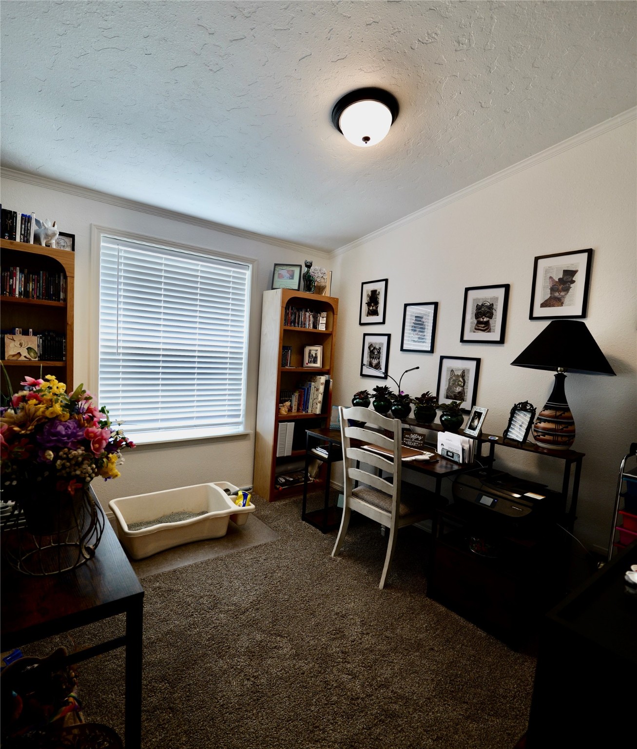 293 Jette Road Property Photo 40
