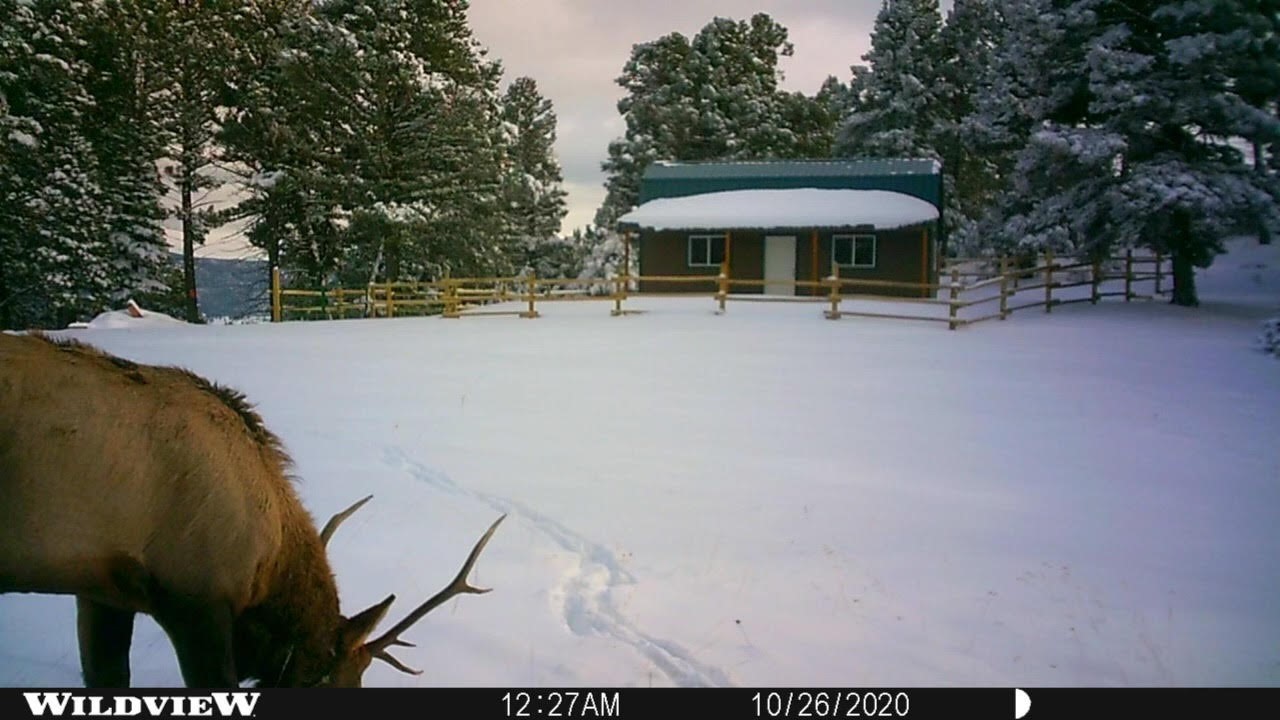 Nhn Summit Lode Property Photo