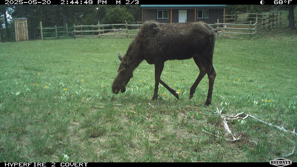Nhn Summit Lode Property Photo 1