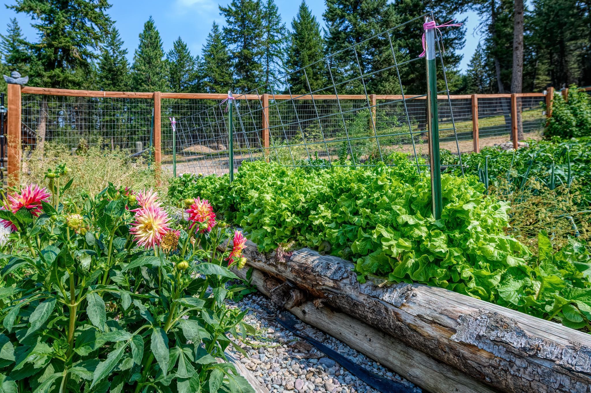 5899 Black Lake Road Property Photo 64
