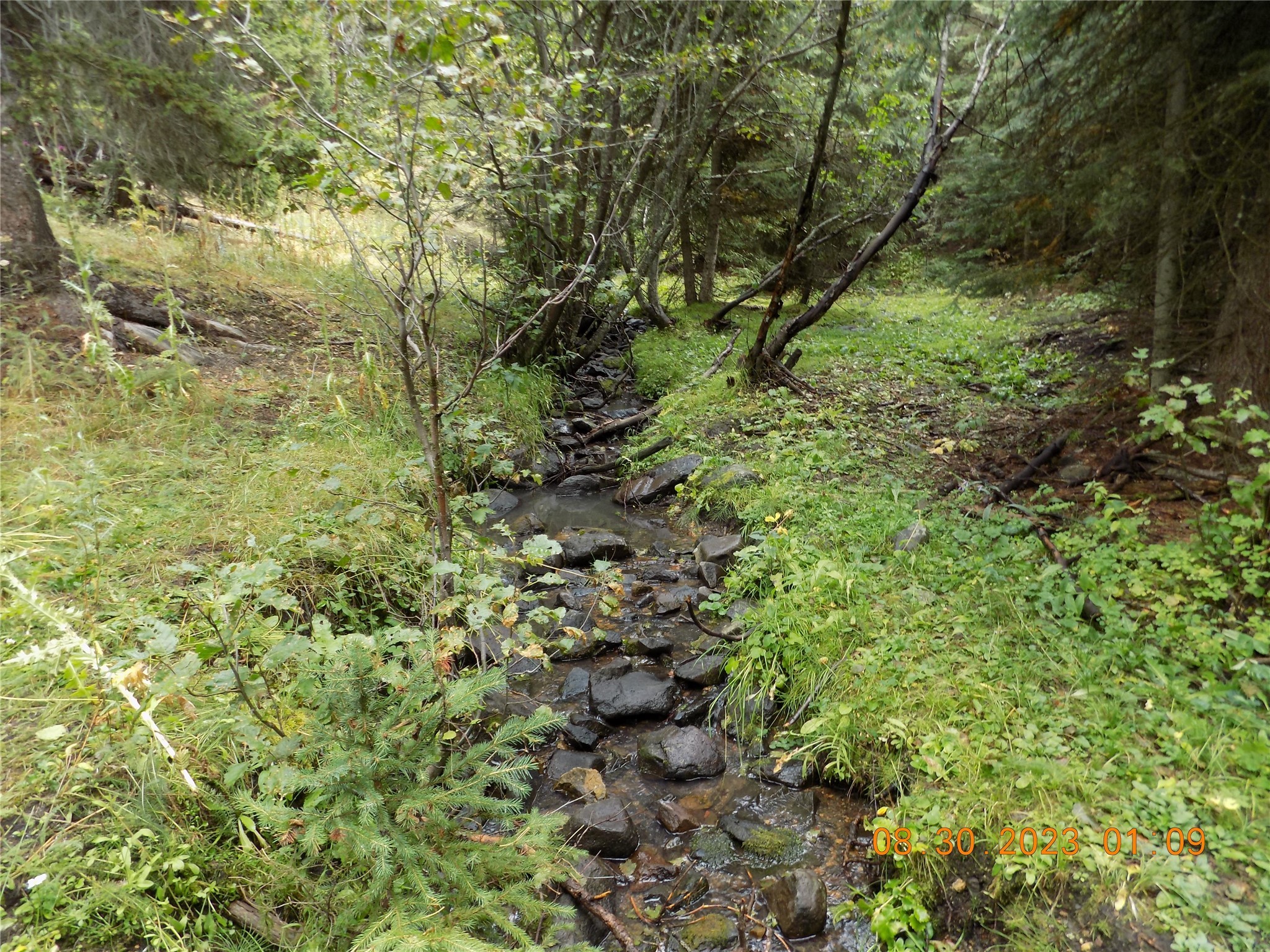 6 Cramer Springs Trail Property Photo 16