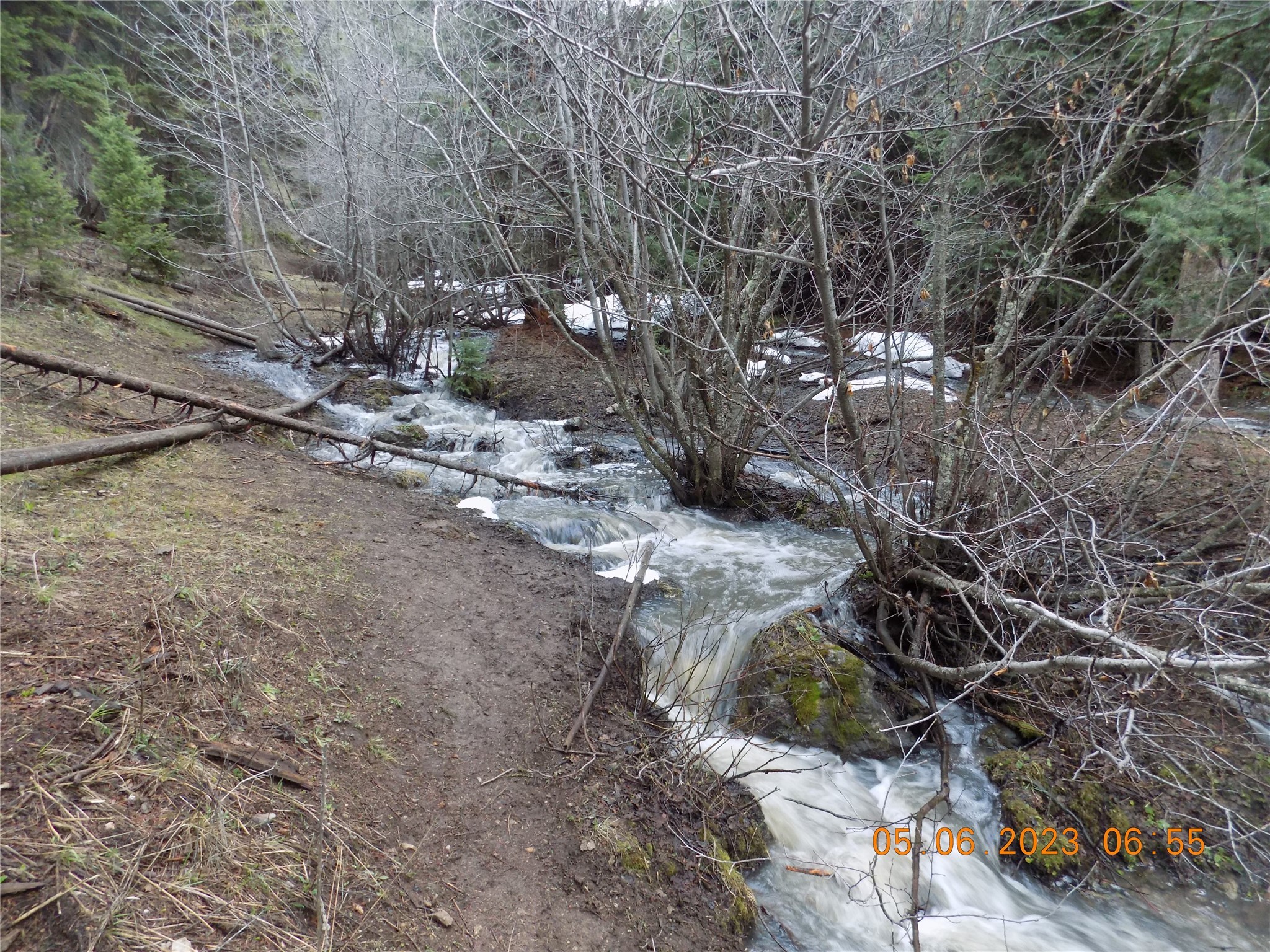 6 Cramer Springs Trail Property Photo 17