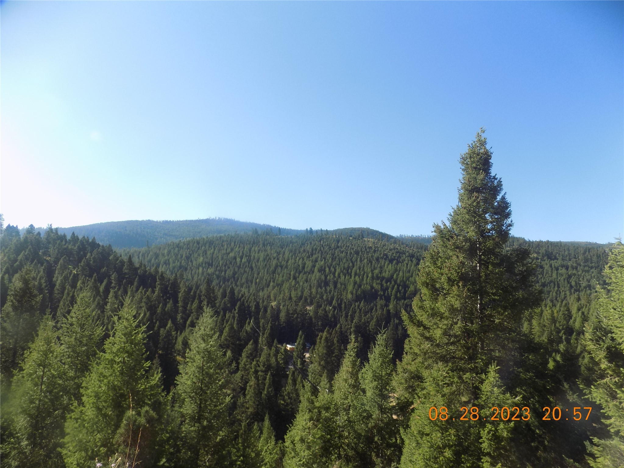 6 Cramer Springs Trail Property Photo 23