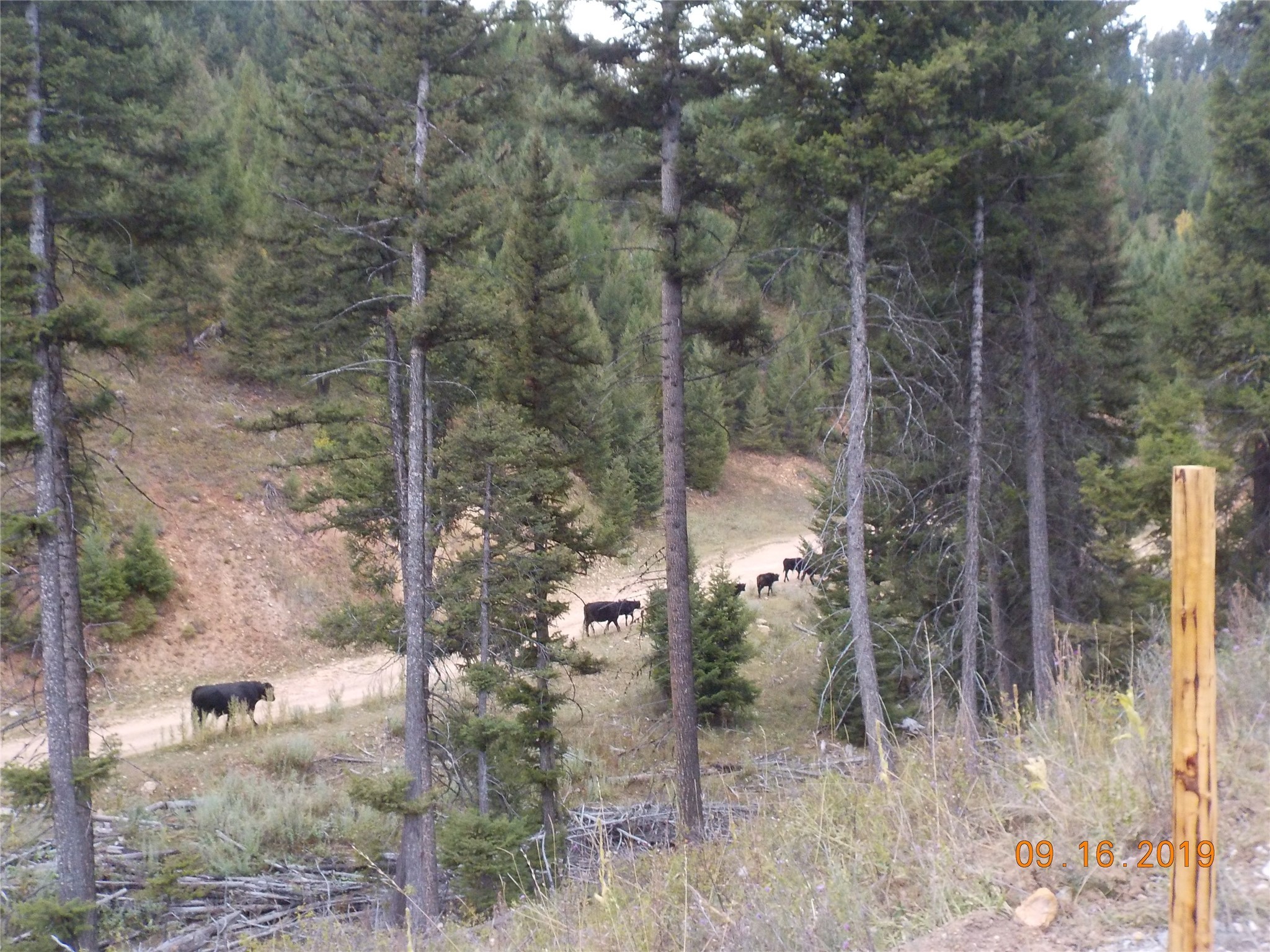 6 Cramer Springs Trail Property Photo 25