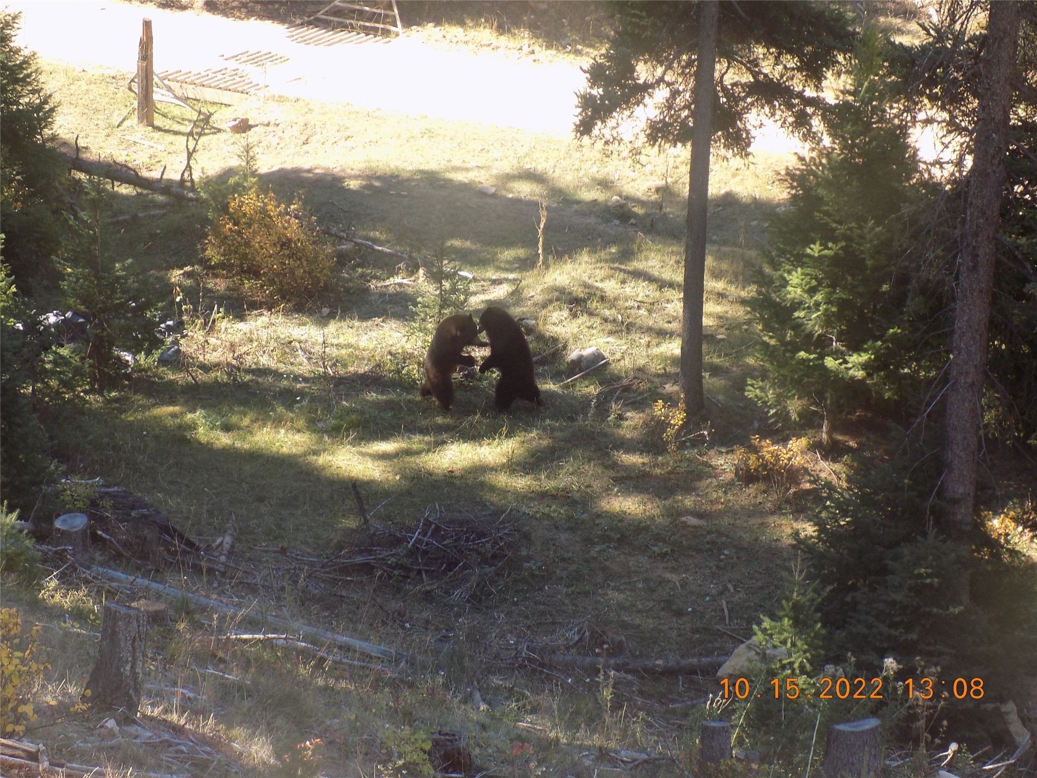 6 Cramer Springs Trail Property Photo 26