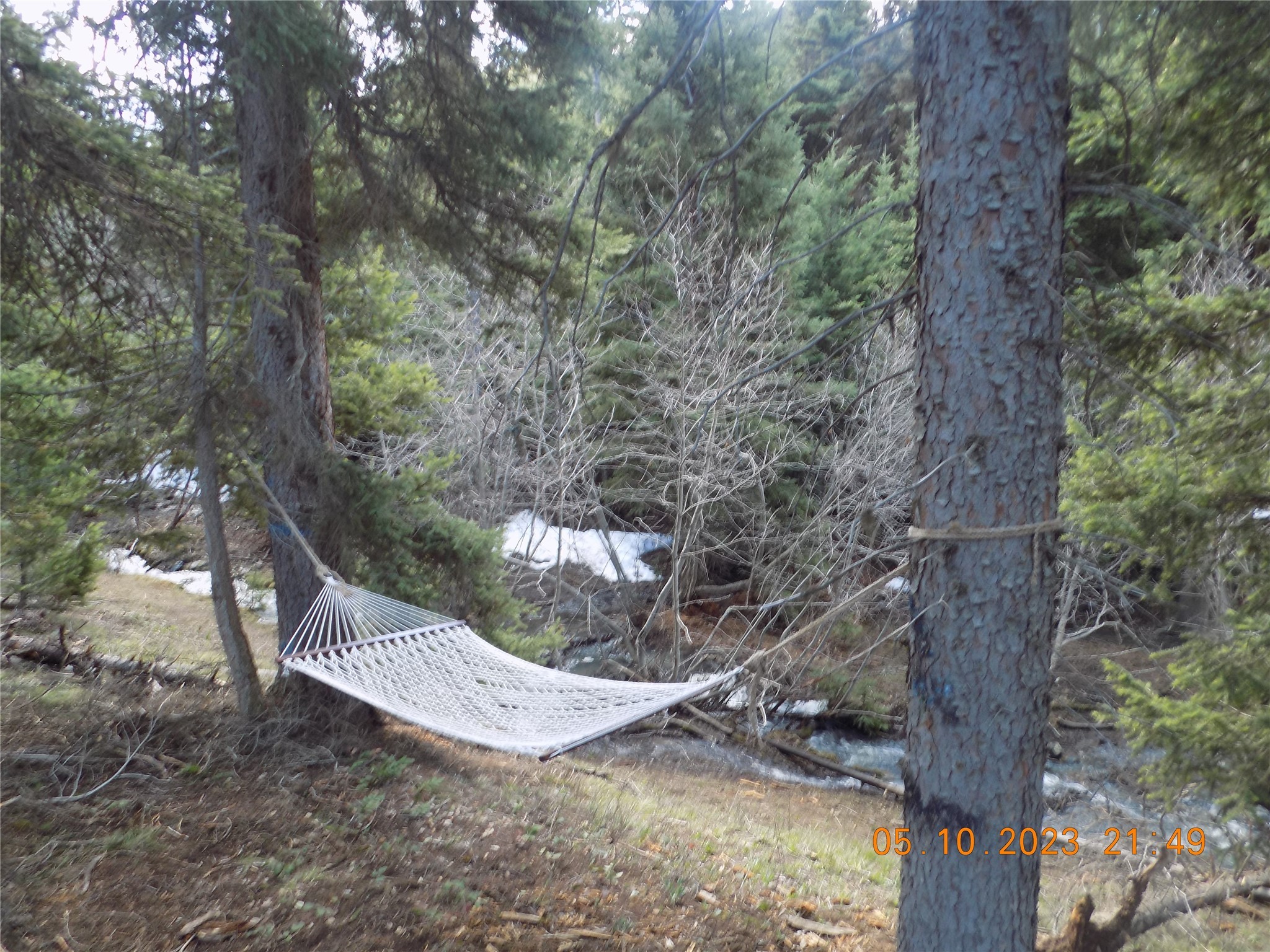 6 Cramer Springs Trail Property Photo 28