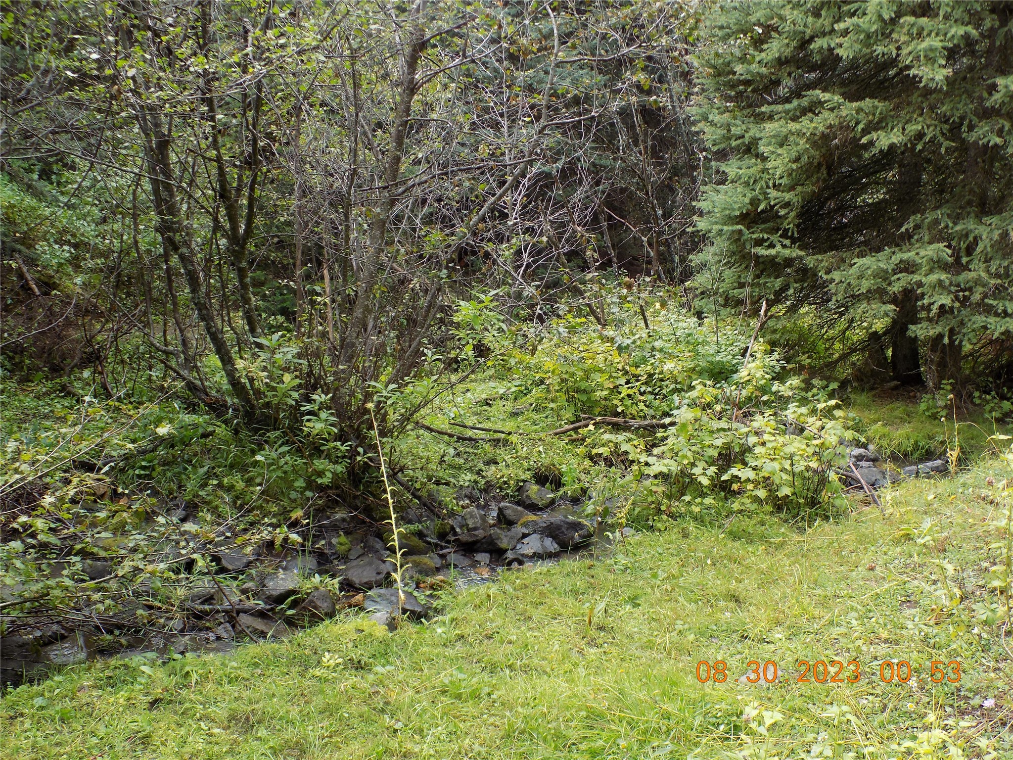 6 Cramer Springs Trail Property Photo 31
