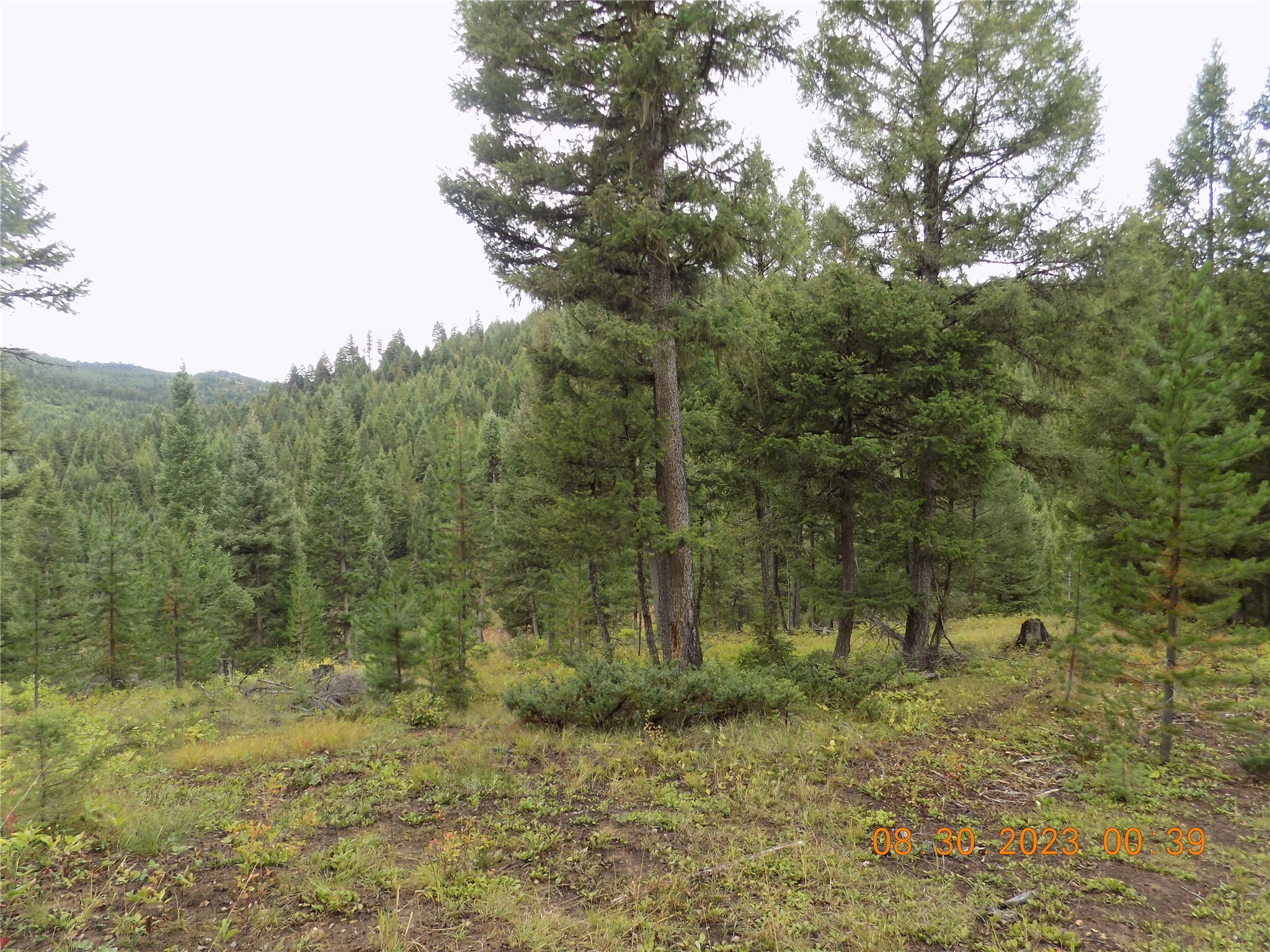 6 Cramer Springs Trail Property Photo 33