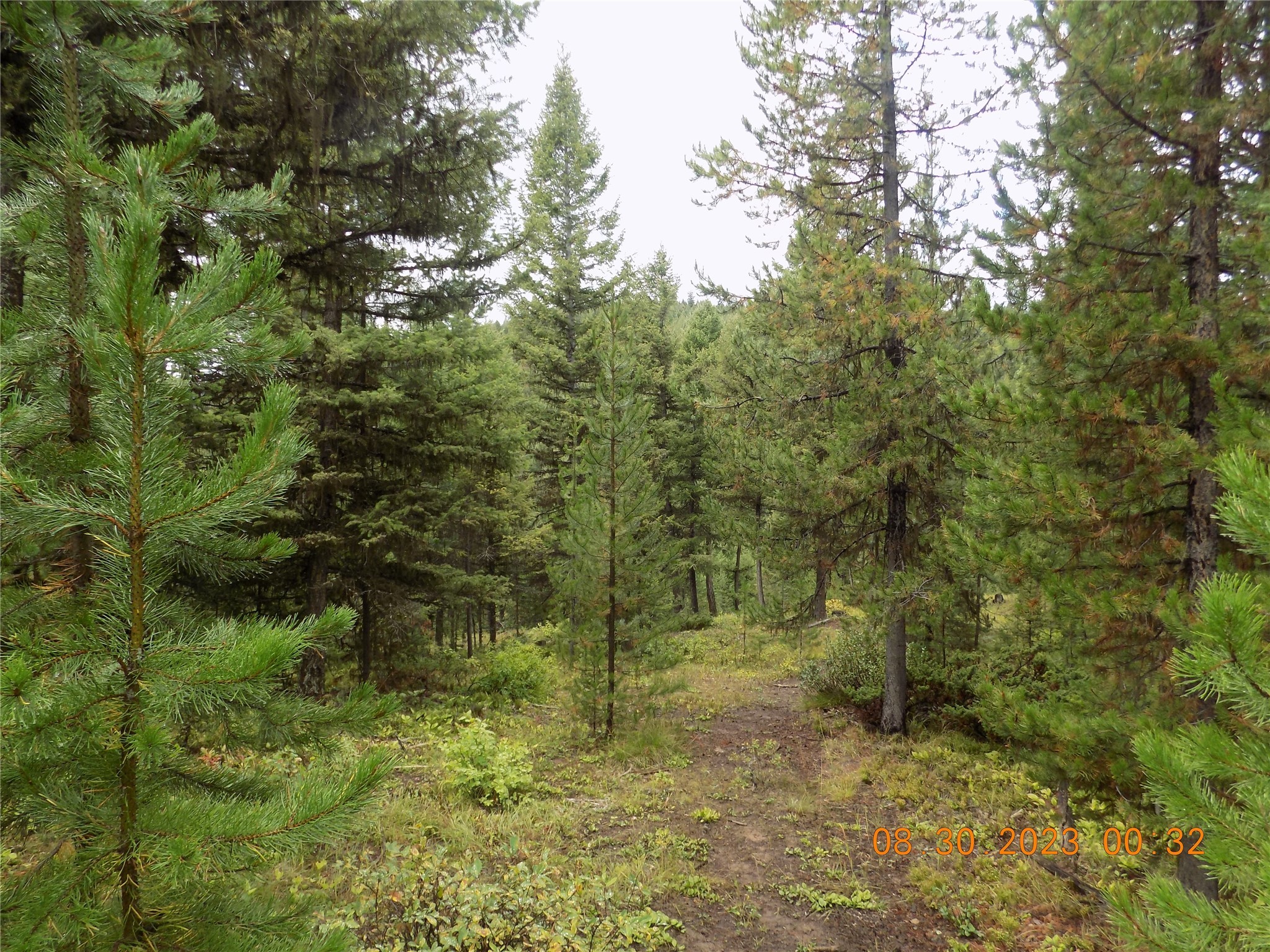 6 Cramer Springs Trail Property Photo 34