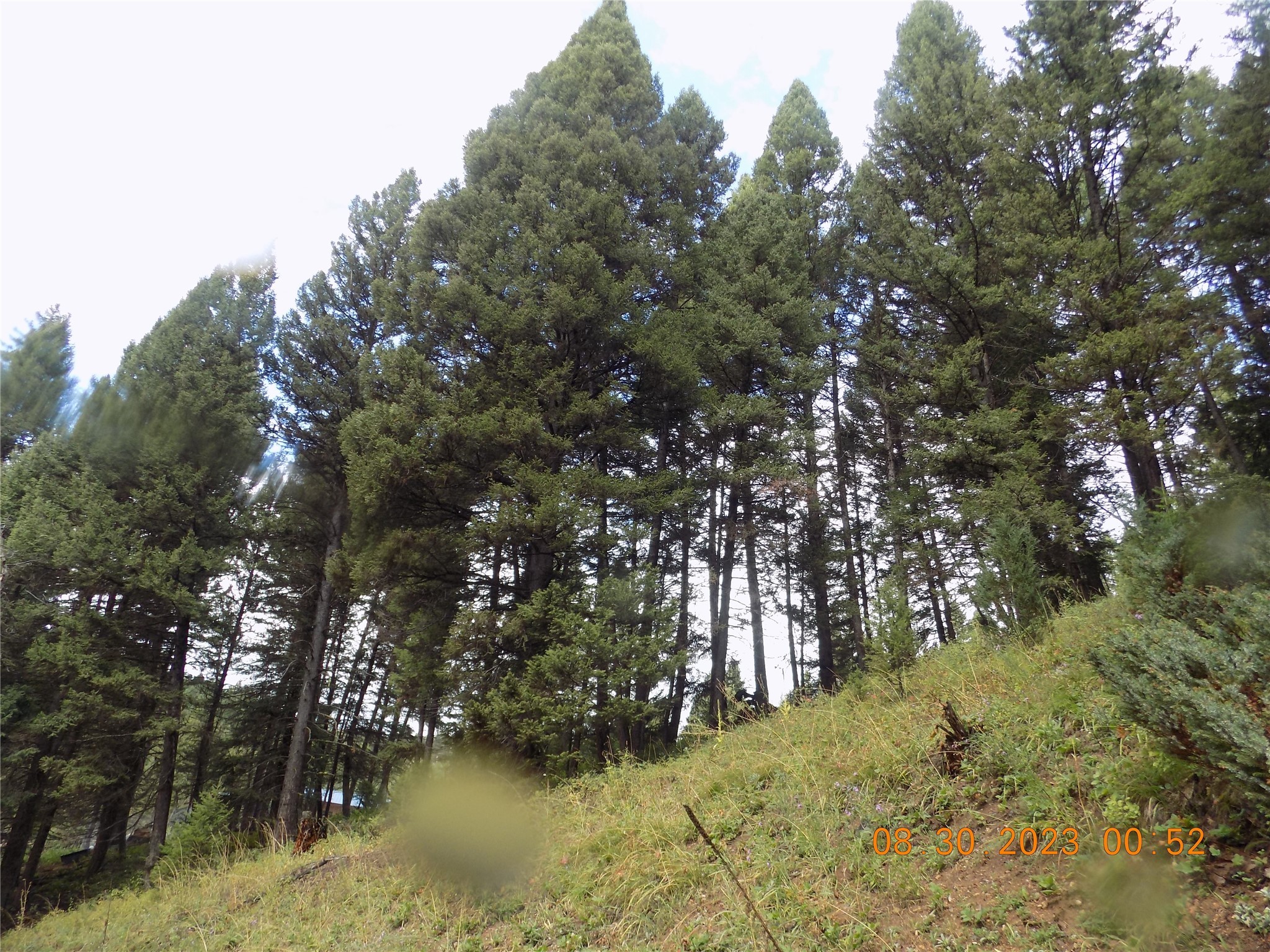 6 Cramer Springs Trail Property Photo 35