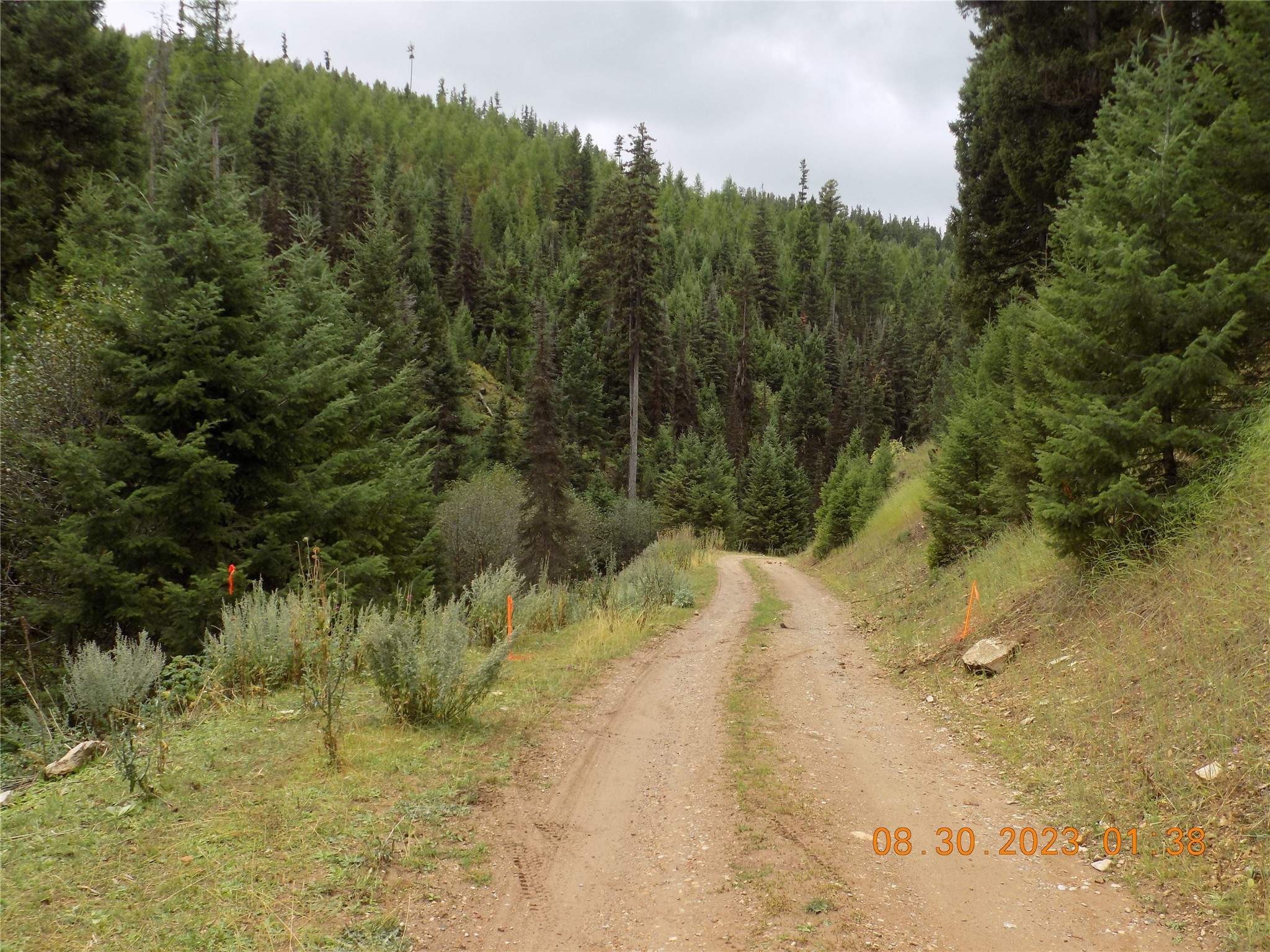 6 Cramer Springs Trail Property Photo 36