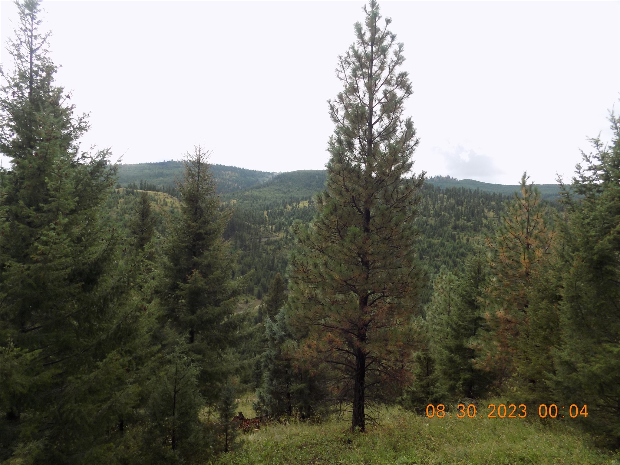 6 Cramer Springs Trail Property Photo 37