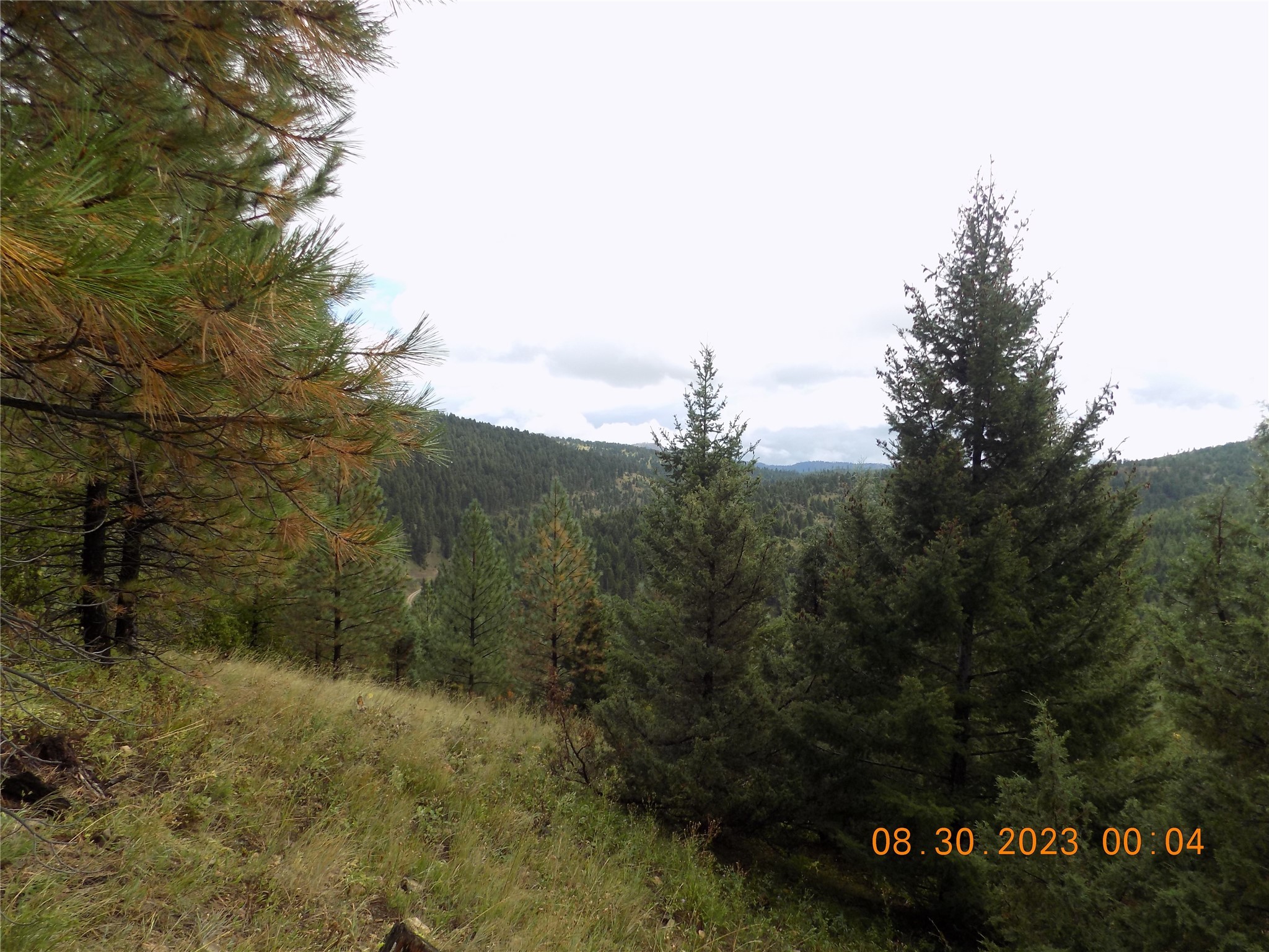 6 Cramer Springs Trail Property Photo 38