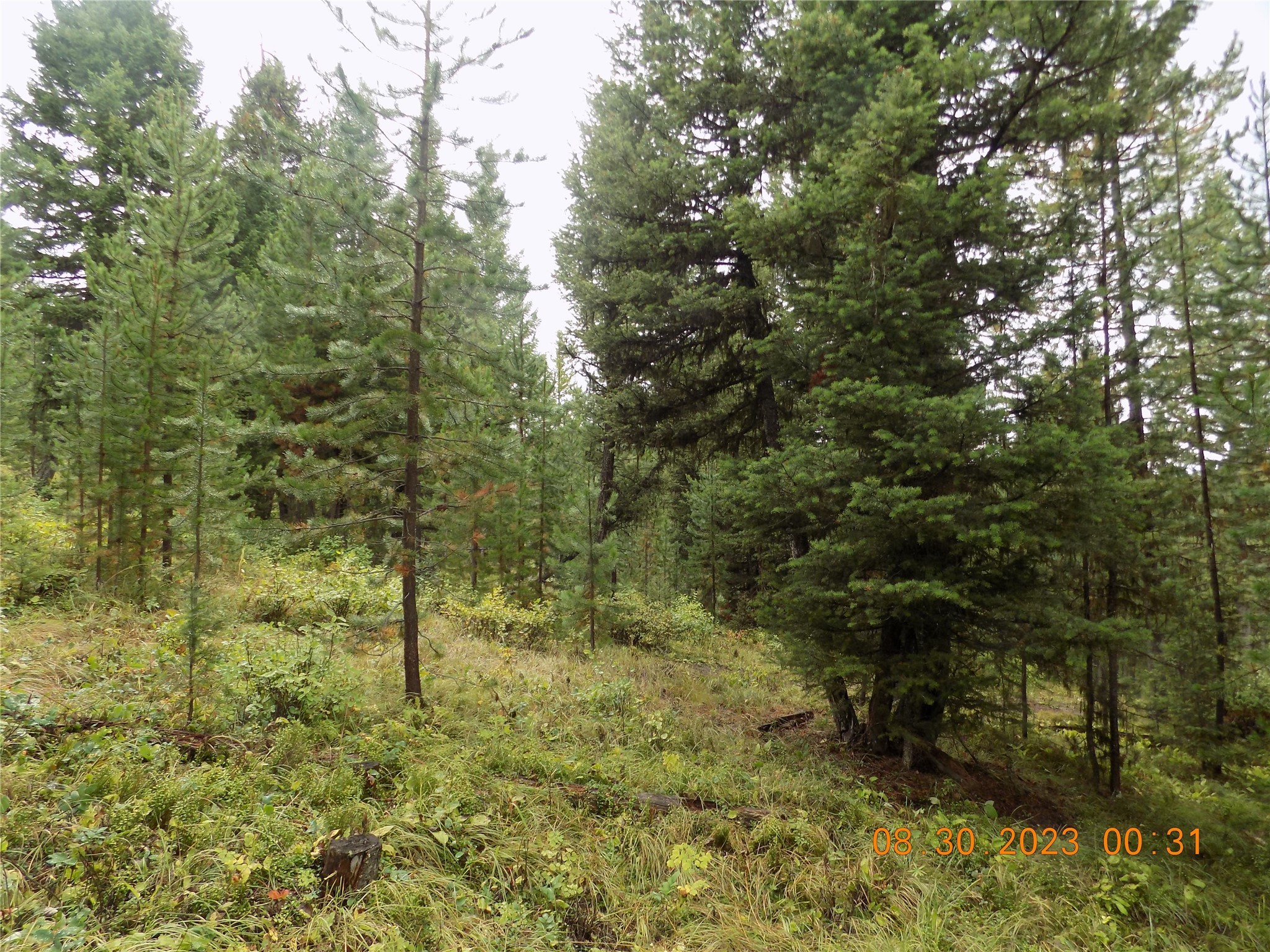 6 Cramer Springs Trail Property Photo 39