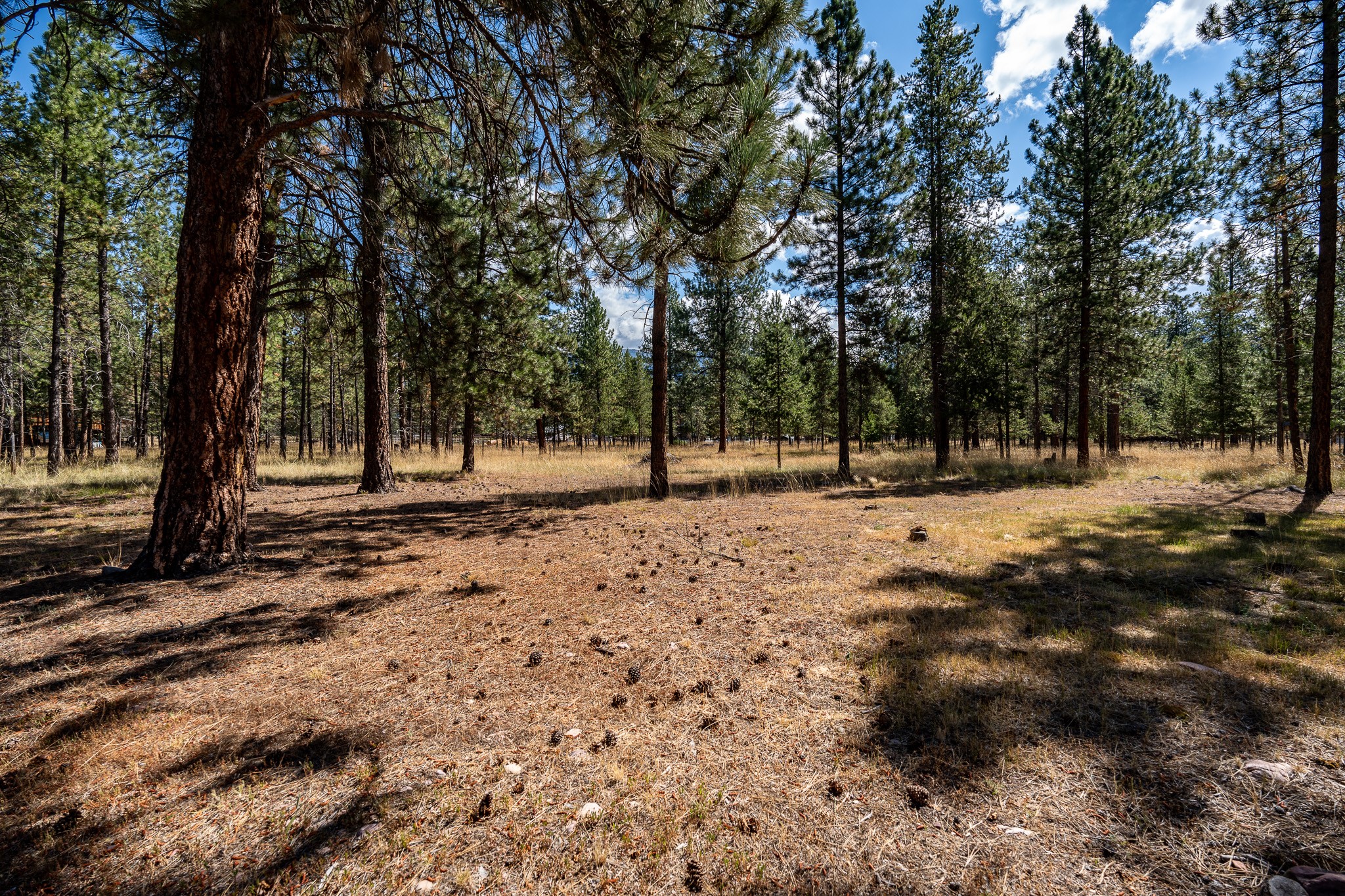 1050 Frontier Drive Property Photo 48