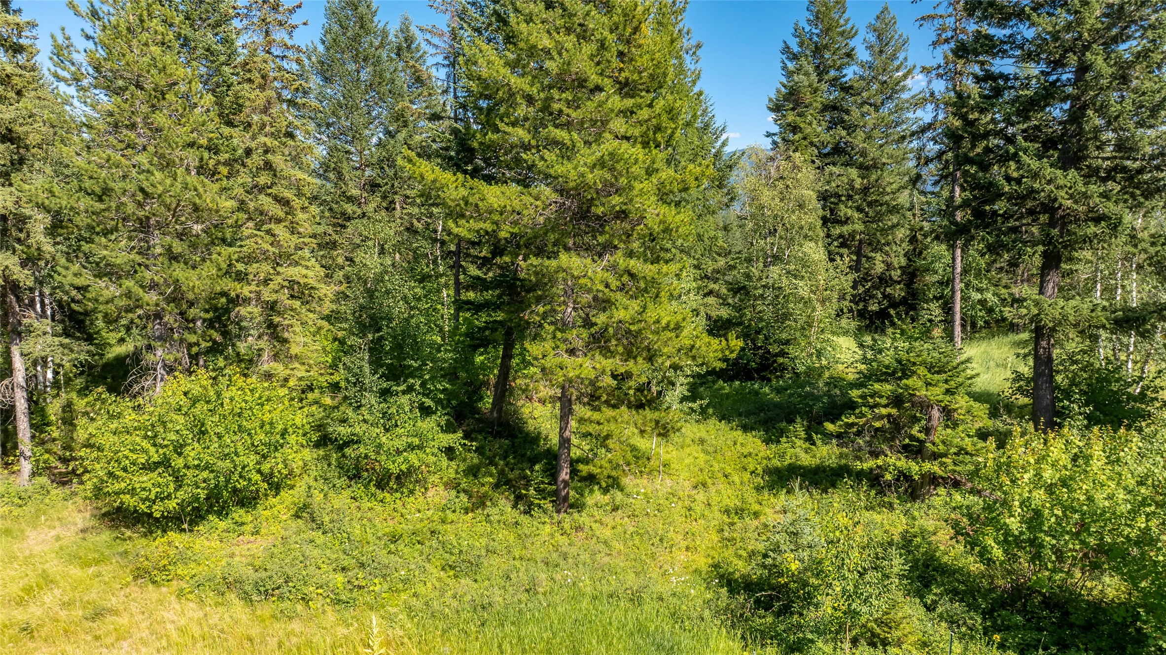 1284 Oakmont Lane (lot 73) Property Photo 11