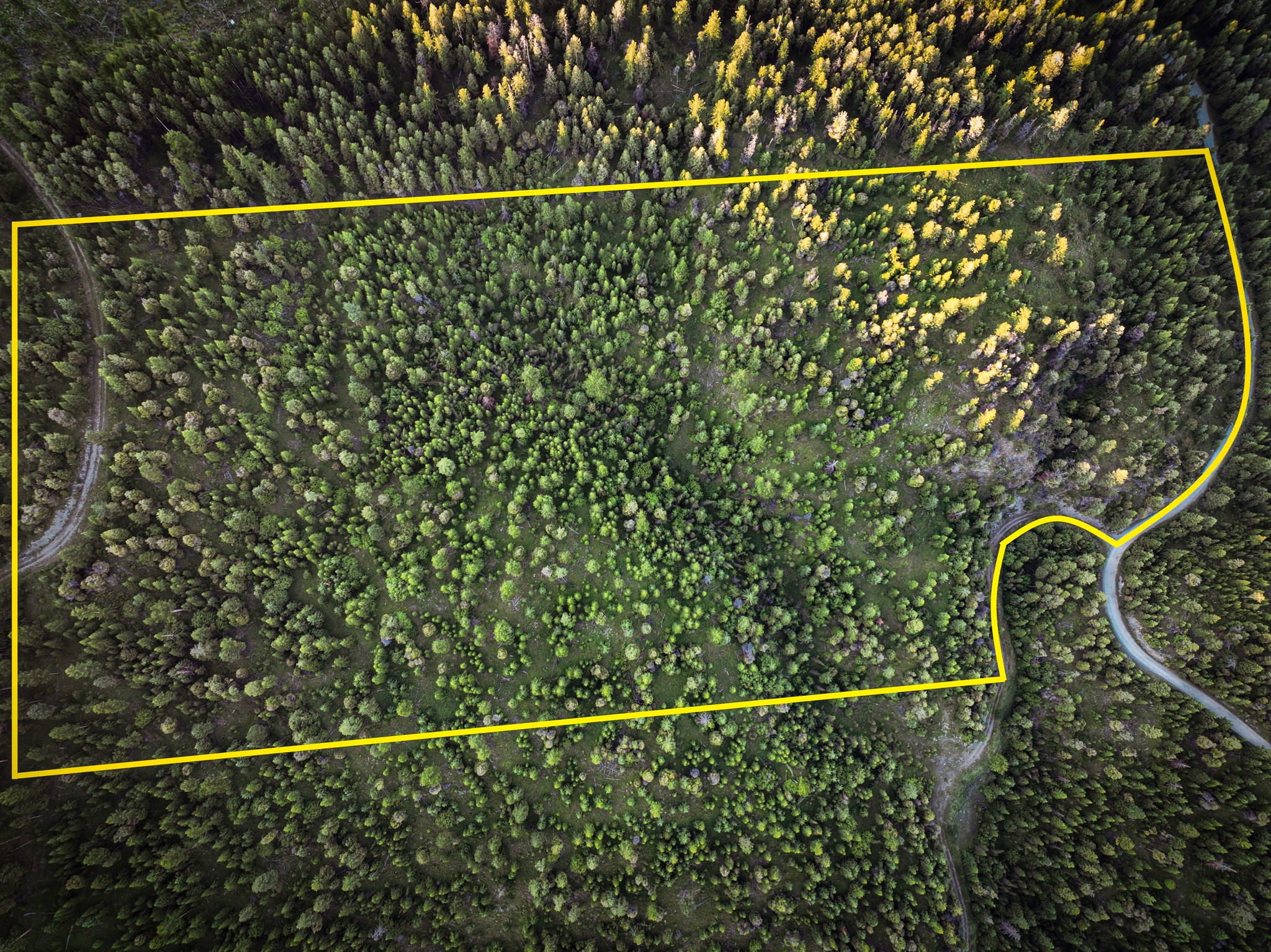 Nhn Cramer Creek Road Property Photo 5