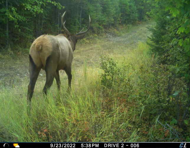 Nhn Cramer Creek Road Property Photo 15