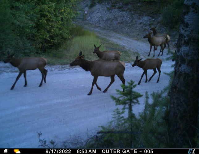 Nhn Cramer Creek Road Property Photo 18