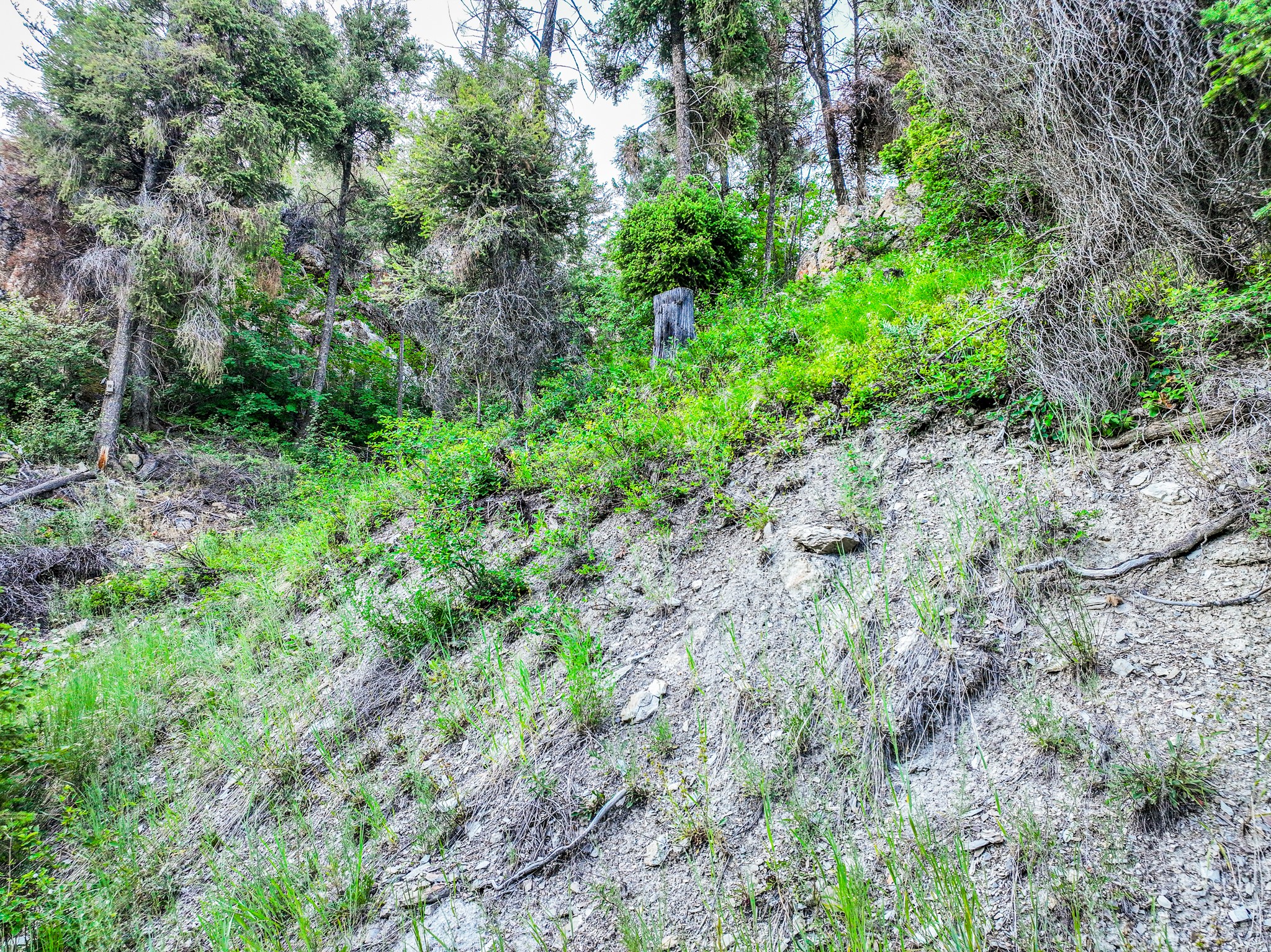 Nhn Cramer Creek Road Property Photo 31