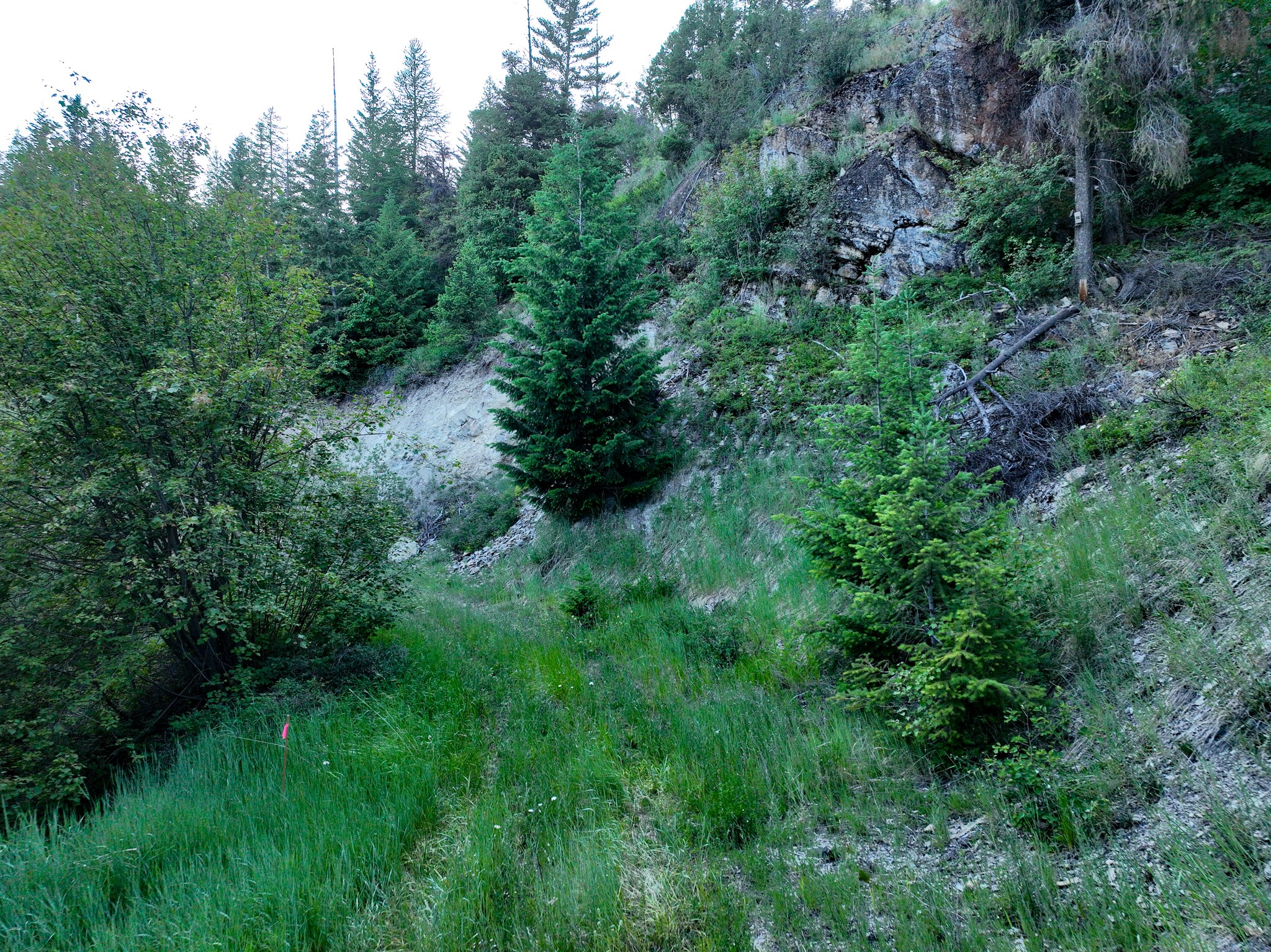 Nhn Cramer Creek Road Property Photo 44
