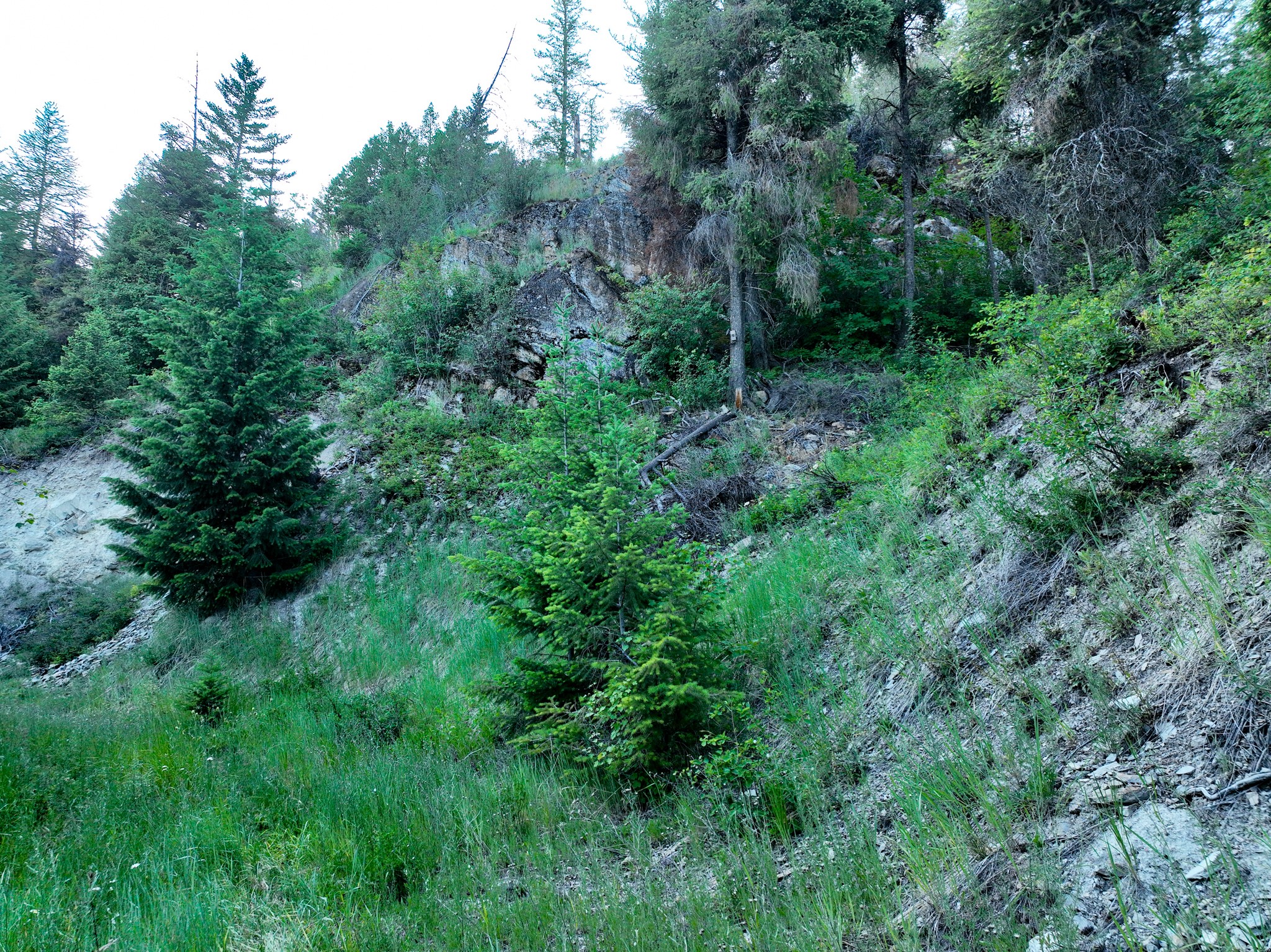 Nhn Cramer Creek Road Property Photo 45