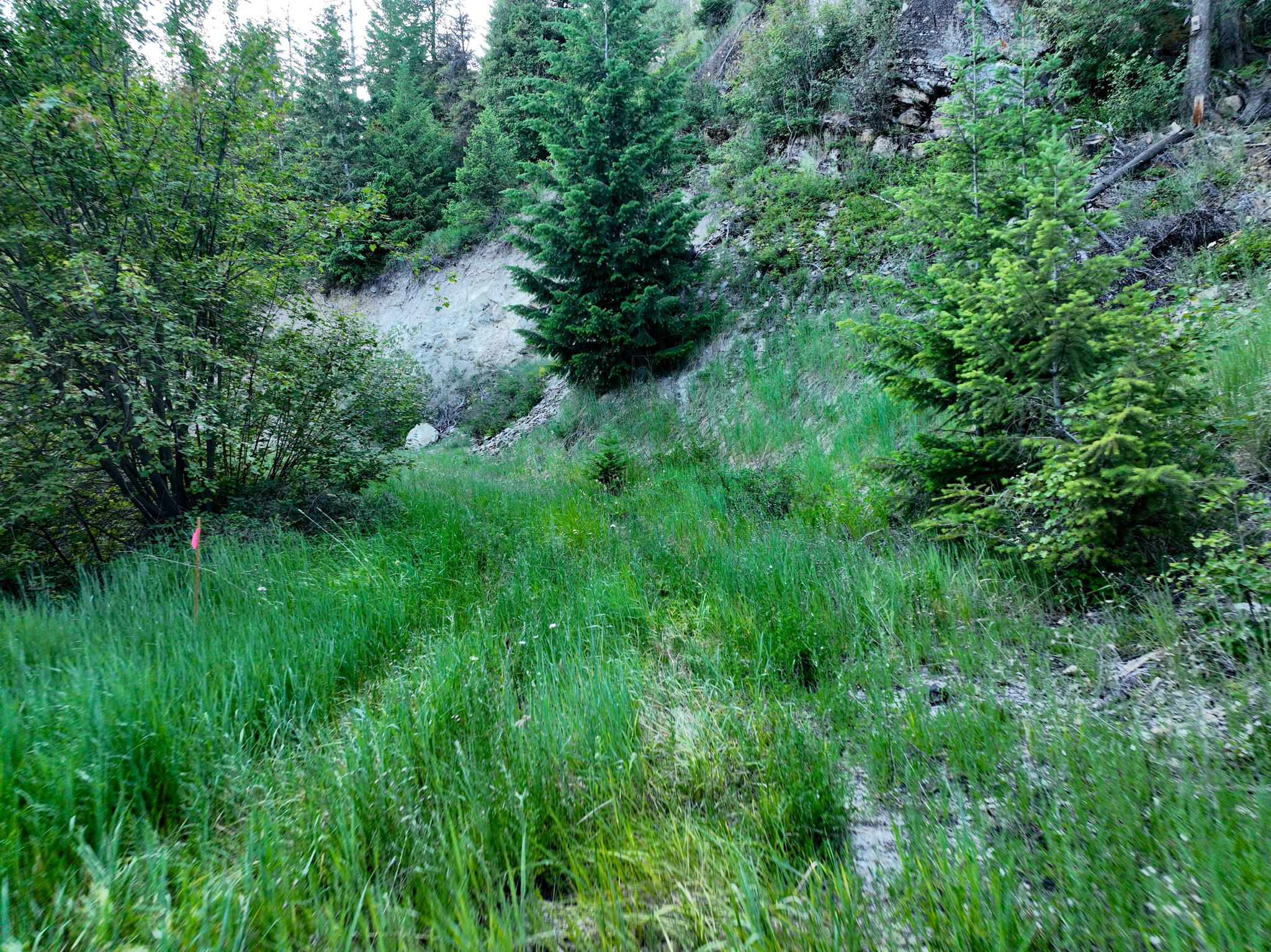 Nhn Cramer Creek Road Property Photo 46
