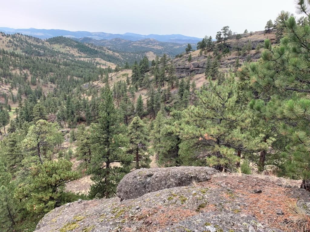 Tbd Upper Sawmill Creek Lane Property Photo