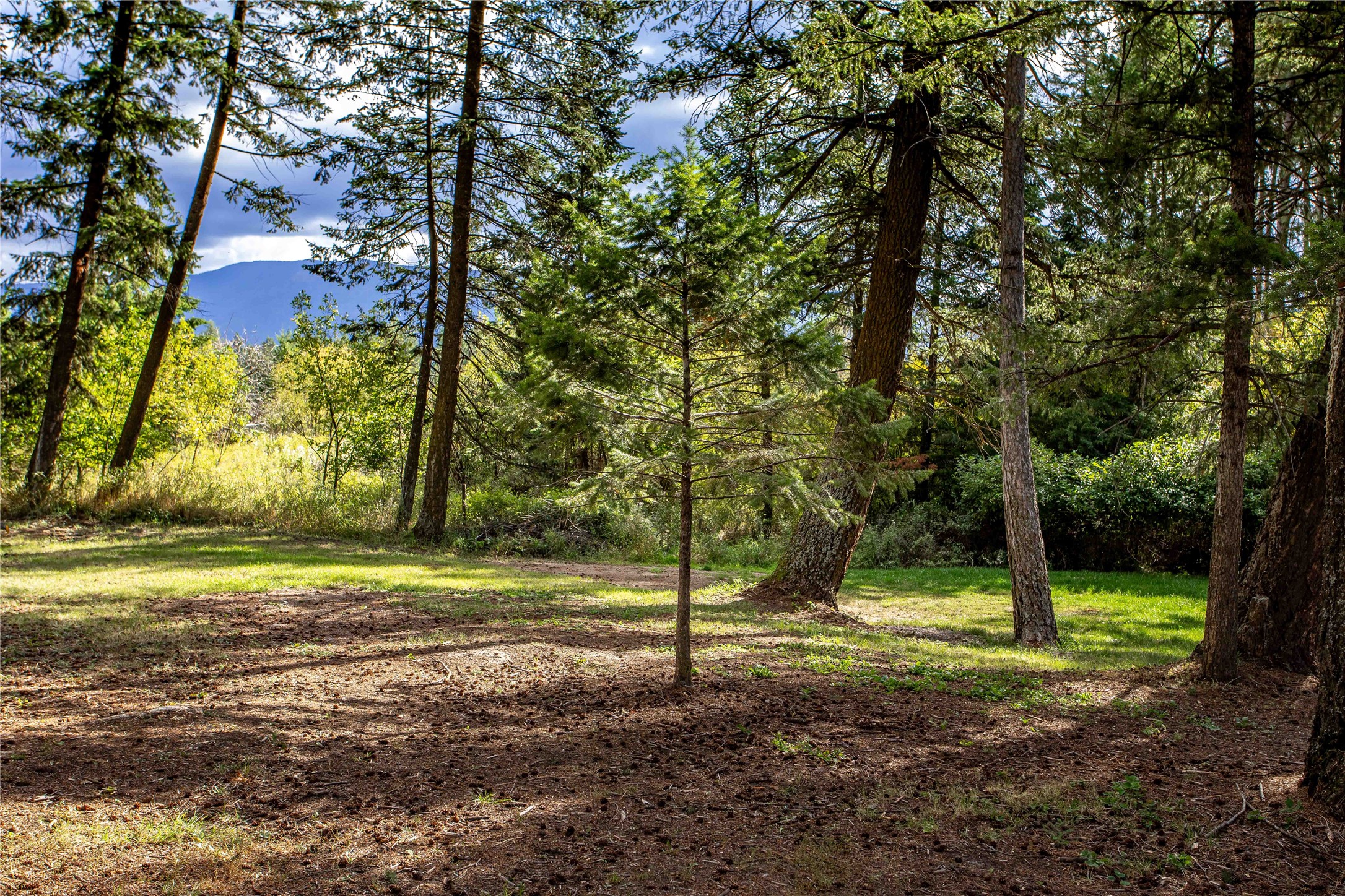 5095 Highway 2 W Property Photo 34