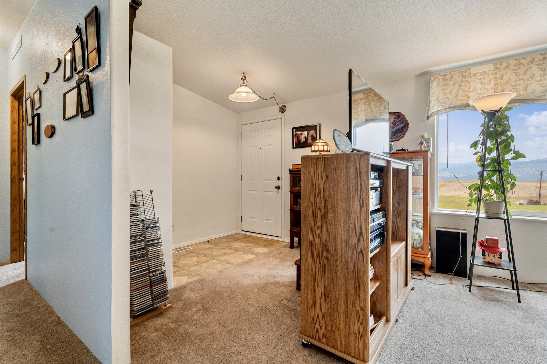 12378 Dusty Lane Property Photo 15