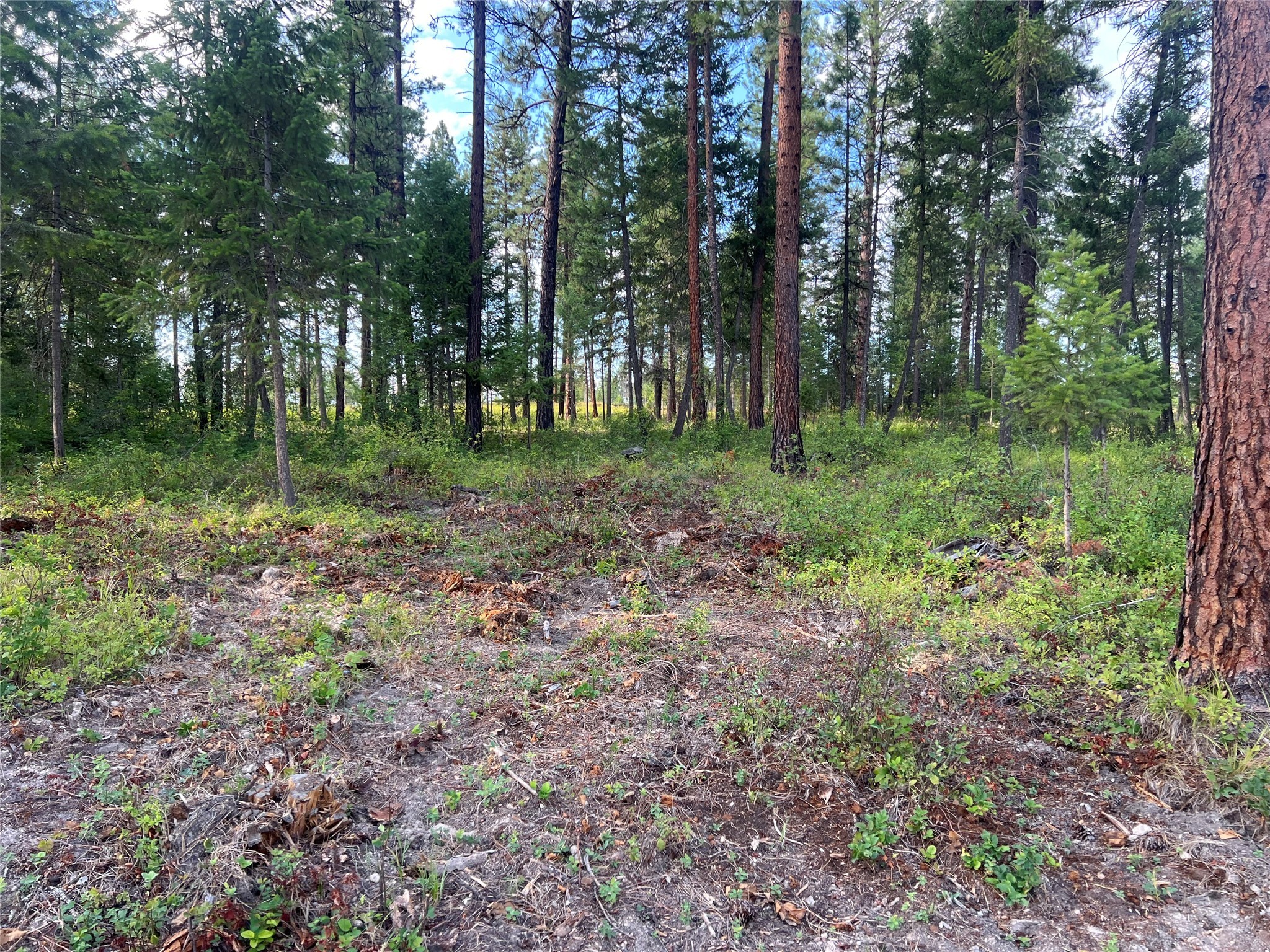 Tbd Granite Lake Road Property Photo 2
