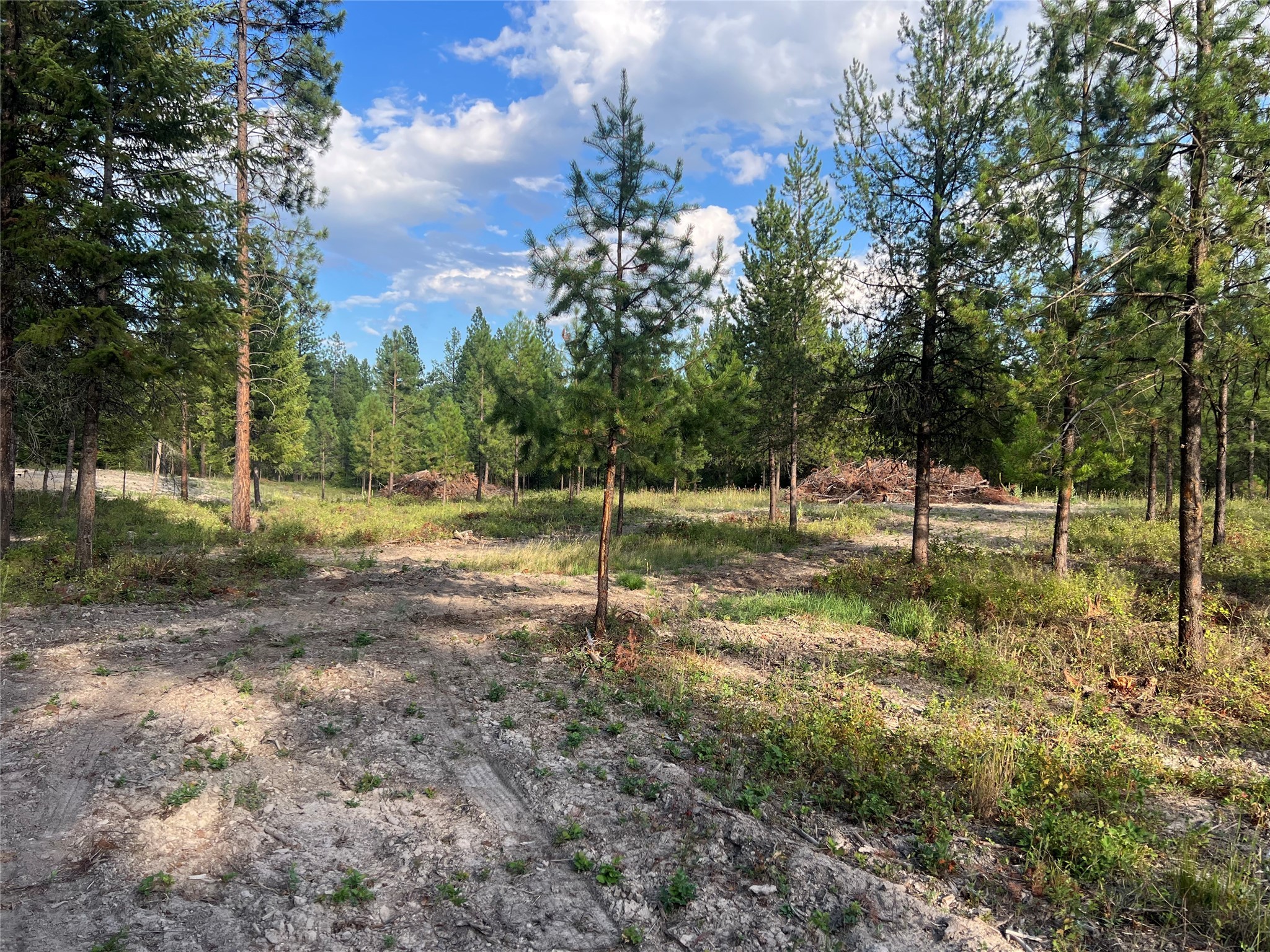 Tbd Granite Lake Road Property Photo 3