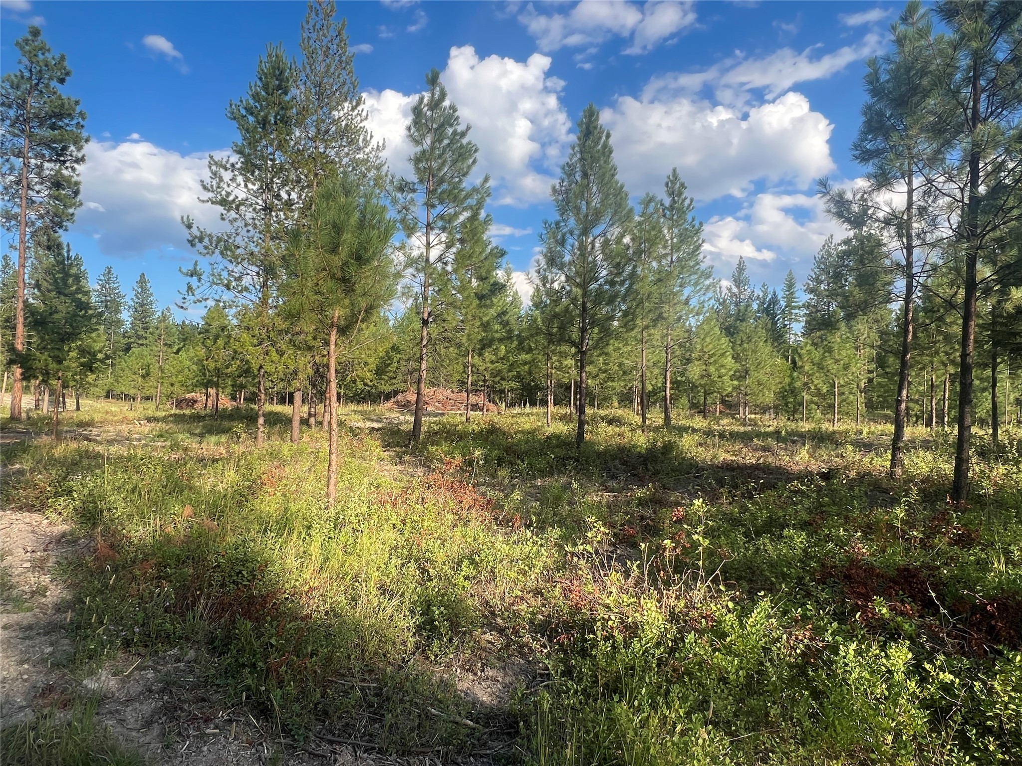Tbd Granite Lake Road Property Photo 4