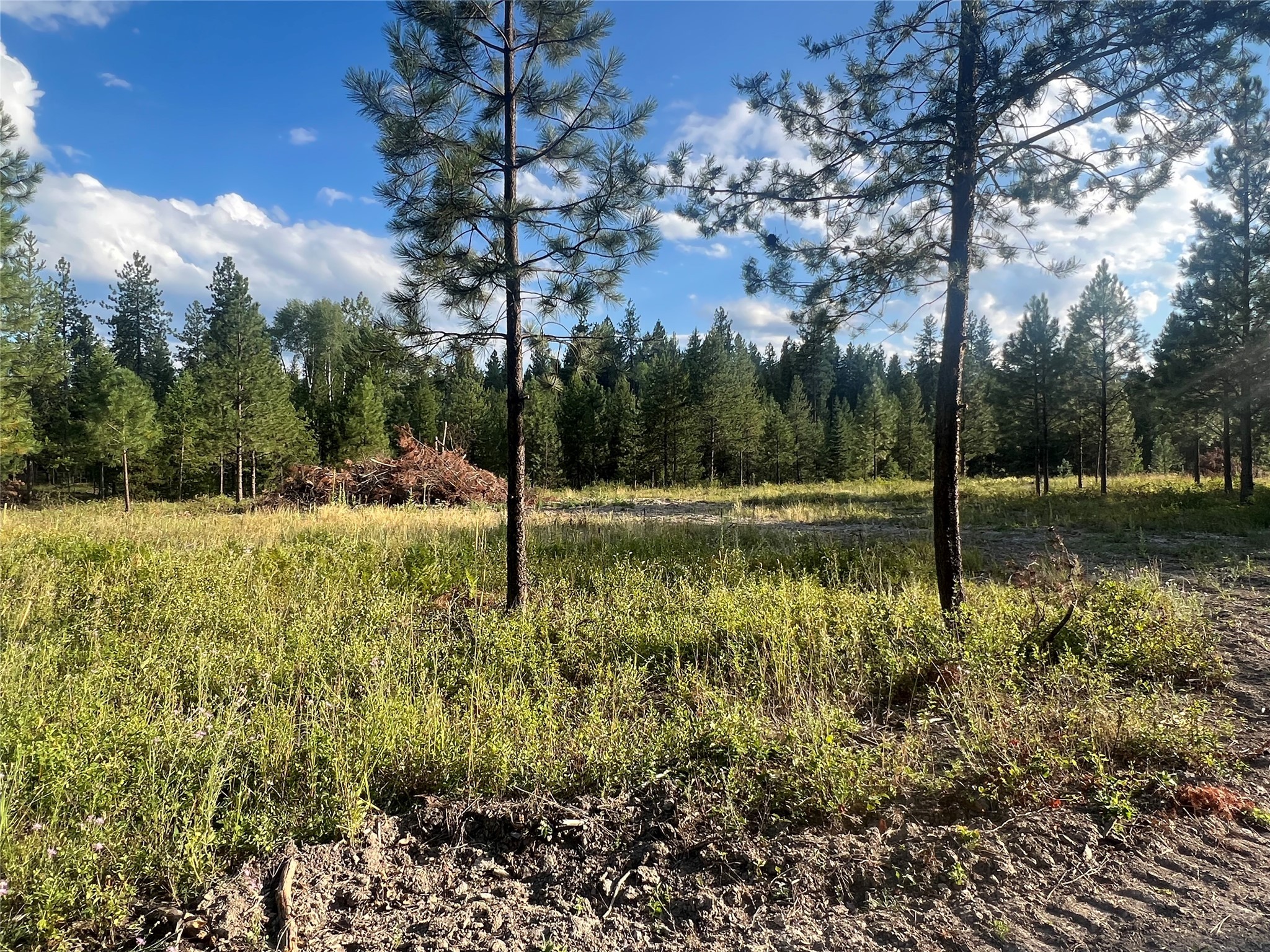 Tbd Granite Lake Road Property Photo 5