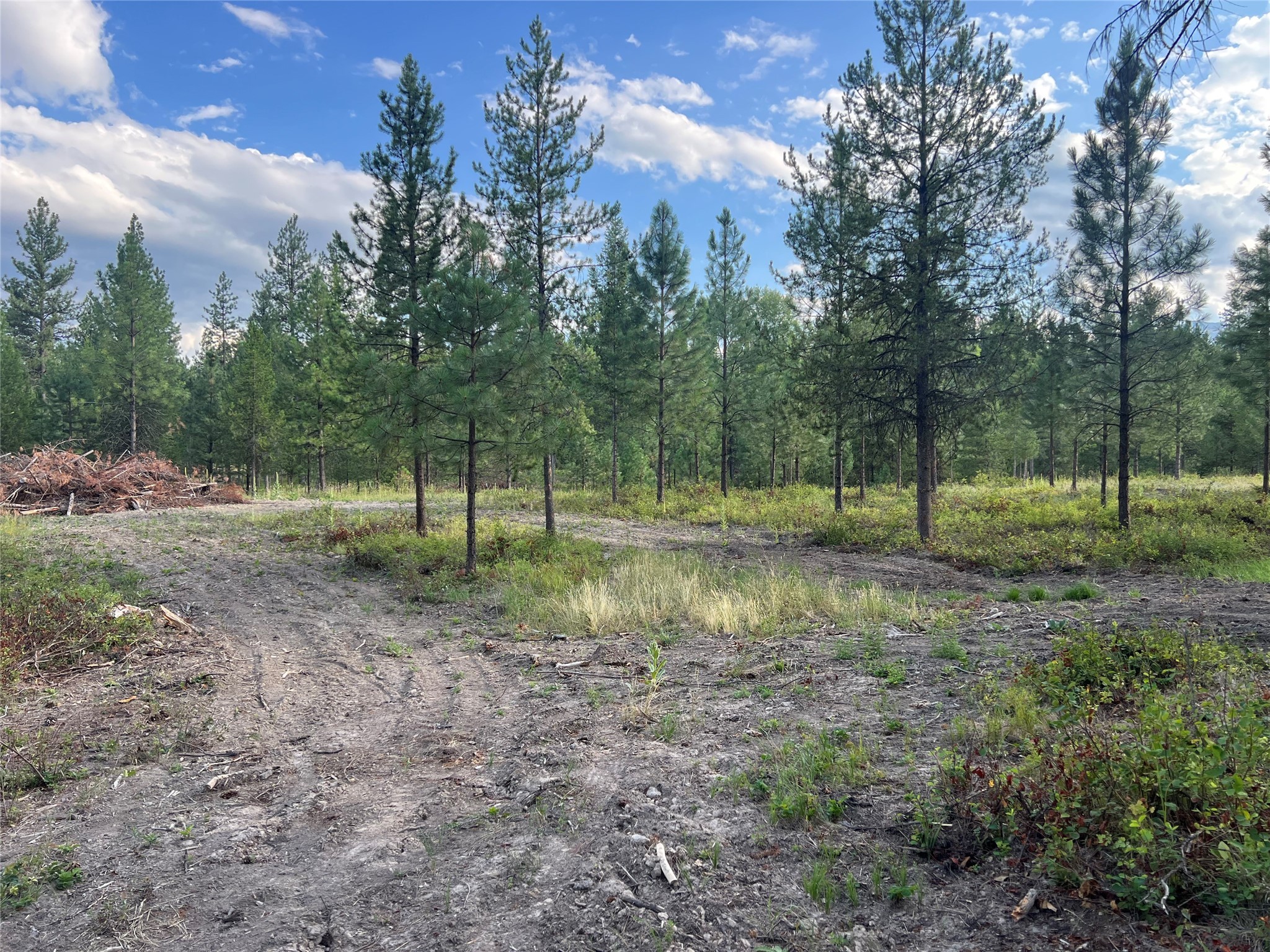 Tbd Granite Lake Road 2 Property Photo 2