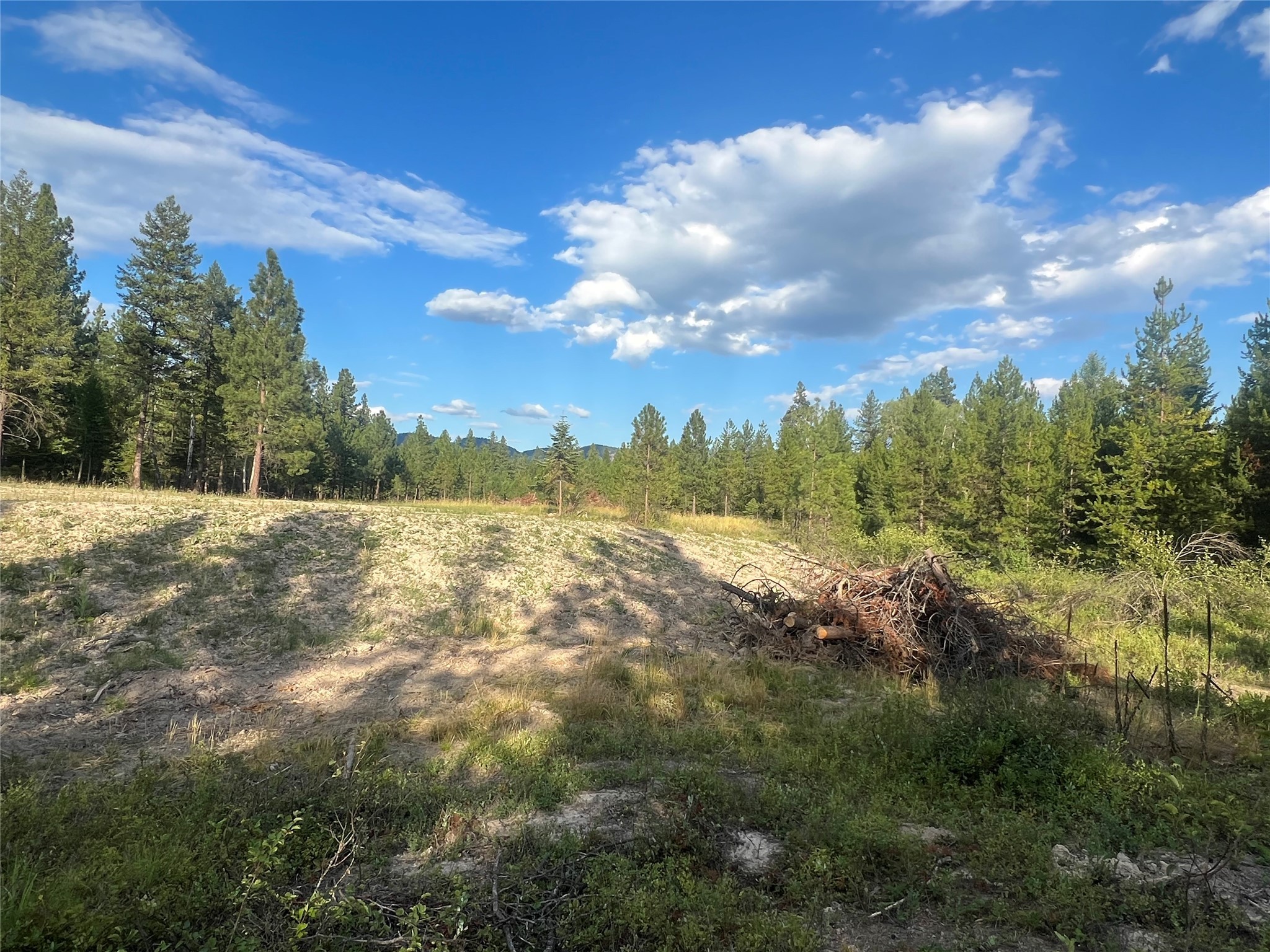 Tbd Granite Lake Road 4 Property Photo 5