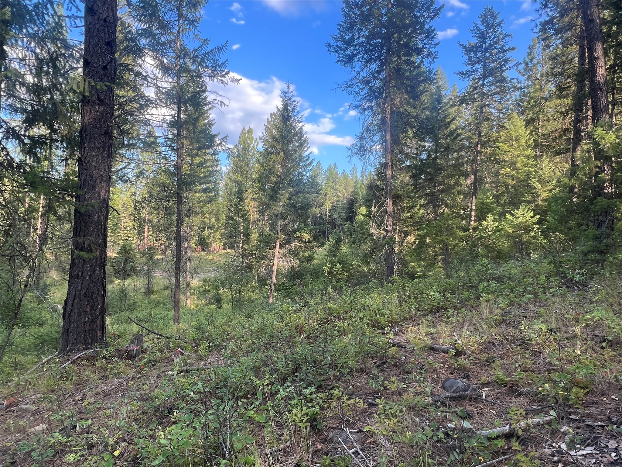 Tbd Granite Lake Road 4 Property Photo 6