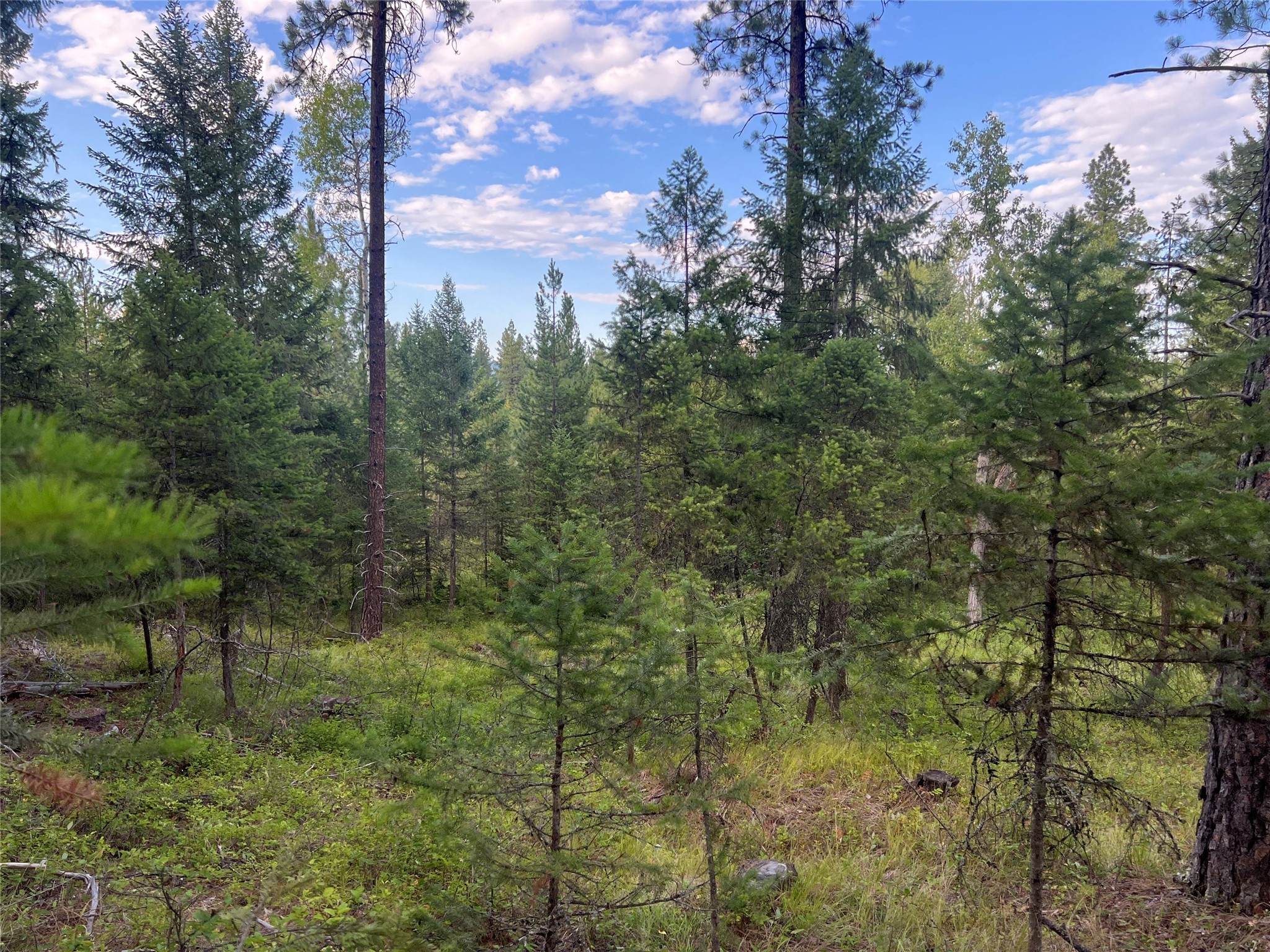 Tbd Granite Lake Road 4 Property Photo 7