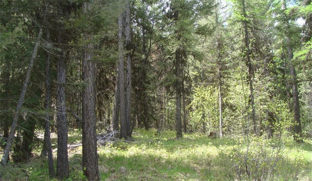 Nhn North Beaver Creek Property Photo 2