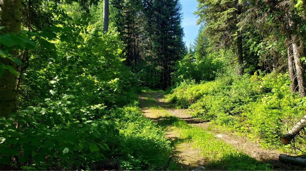Nhn North Beaver Creek Property Photo 3