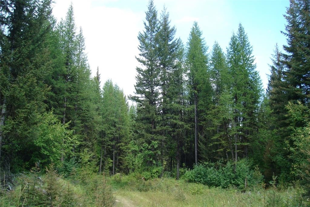 Nhn North Beaver Creek Property Photo 4