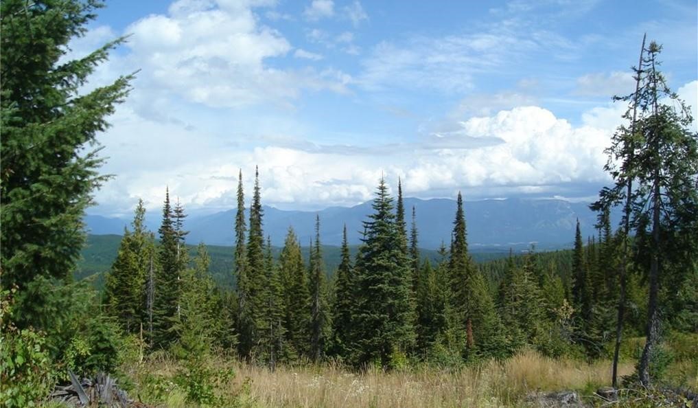 Nhn North Beaver Creek Property Photo 5